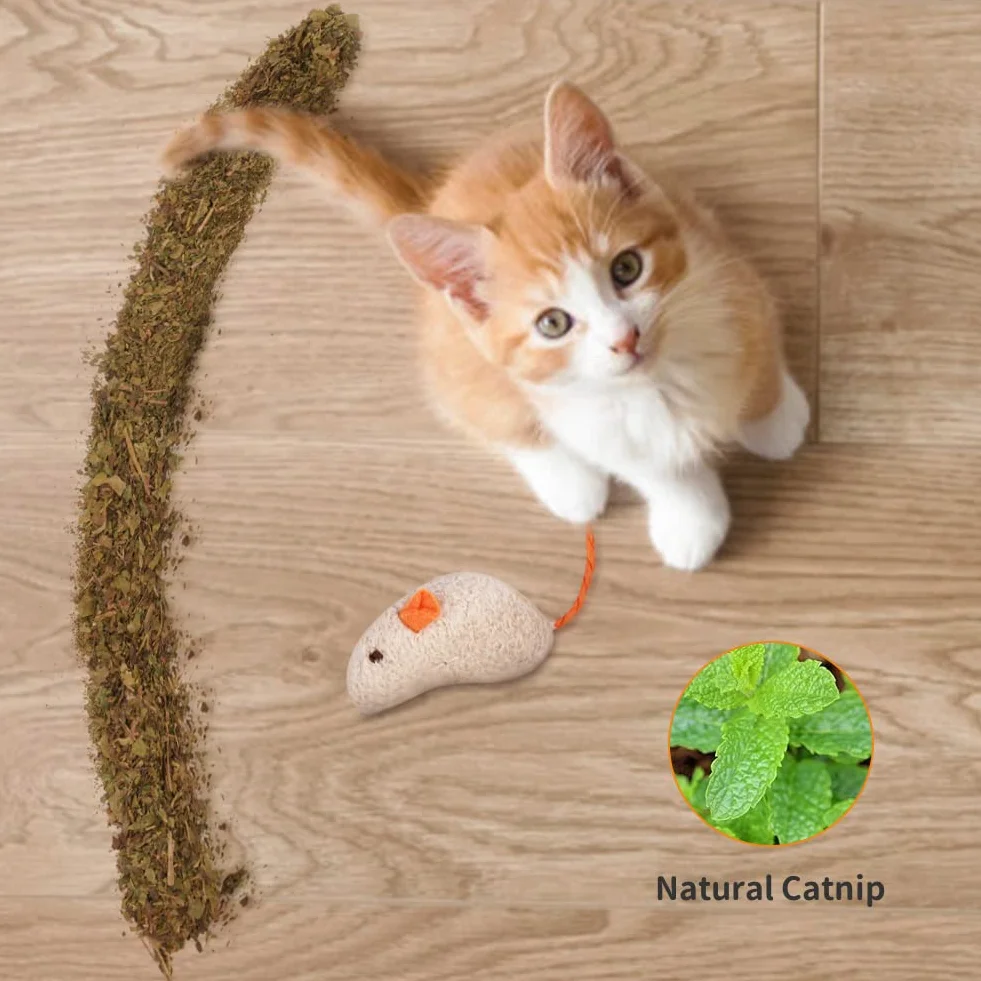 OSDUE Giocattolo di Erba Gatta, 9 Pezzi Giocattolo Catnip, Toys da Masticare per Gatto, Toys Cuscini per Gatti, Giocattoli per Gatti Eccitanti, per Dental Care Pratica ad Eliminare Alitosi