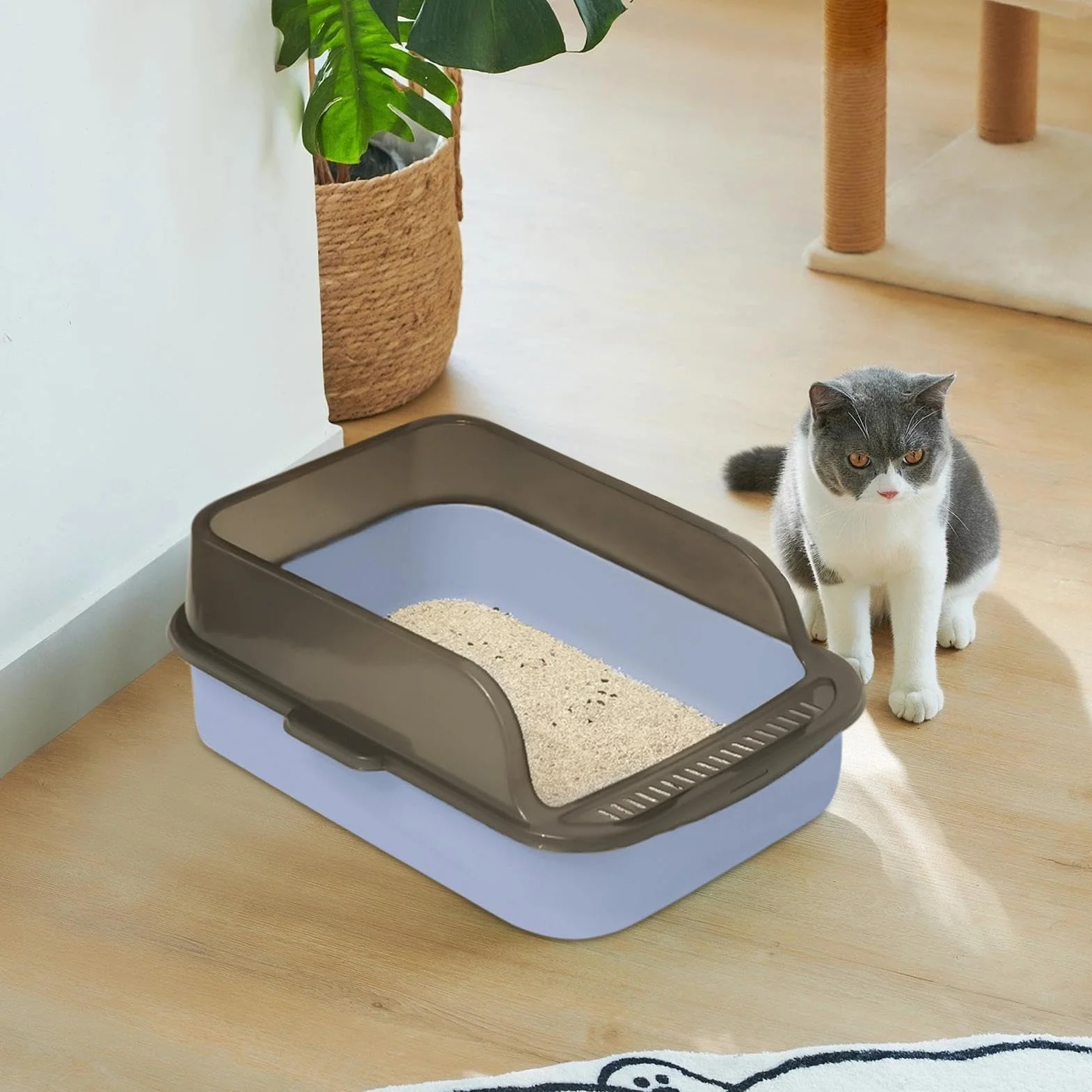 Lettiera Per Gatto Aperta Grande - Toilette Igienica Per Gattini Facile Da Pulire, Lettiera Con Bordo Rialzato, Cassettina Anti-Schizzo | Lettiera Con Facciata Alta Per Gatti Domestici, Box Gatto Cont