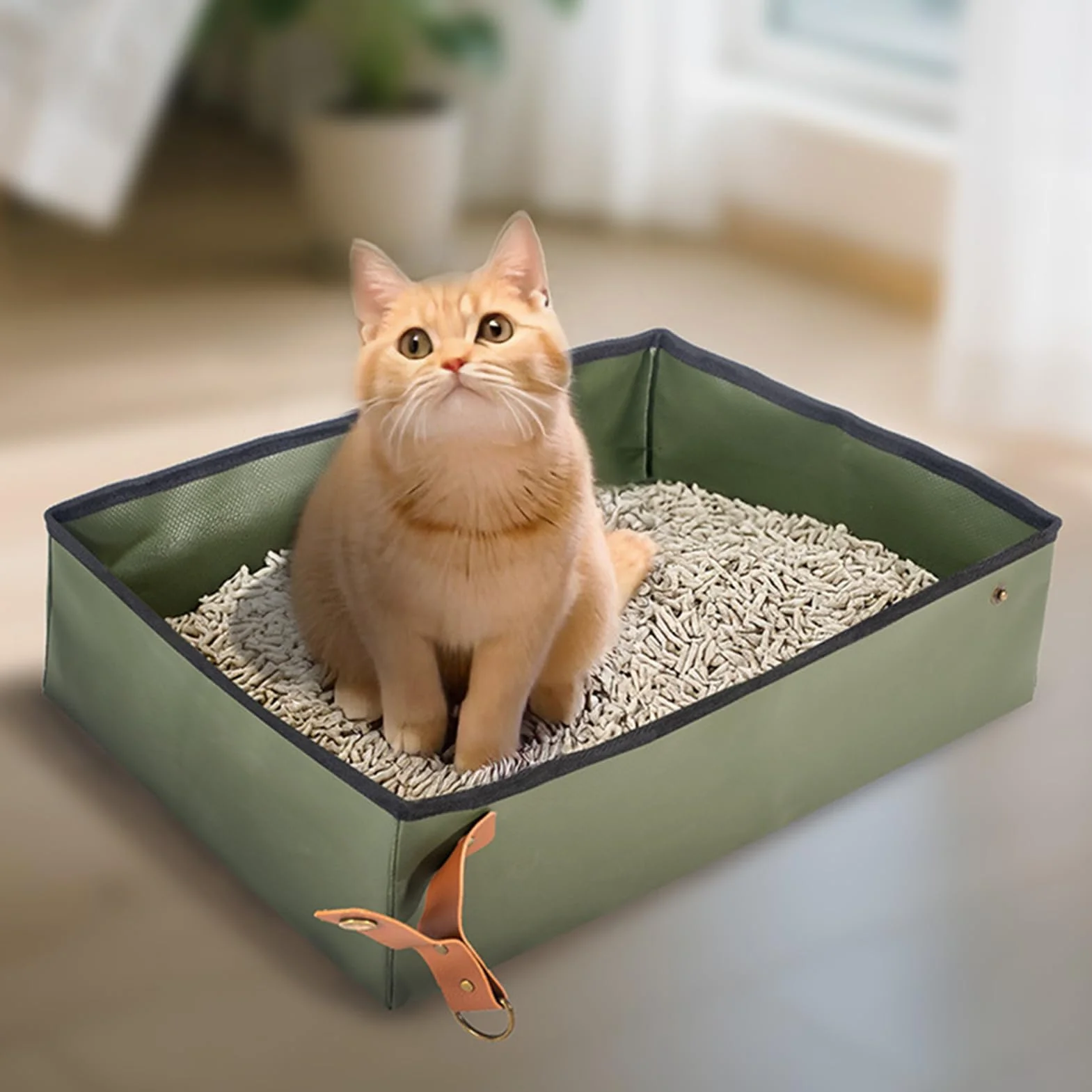 Lettiera Portatile Per Gatti - Vassoio Igienico Da Viaggio | Toilette Compatto Trasporto Animali Domestici per Casa Appartamento Auto Viaggi Campeggio