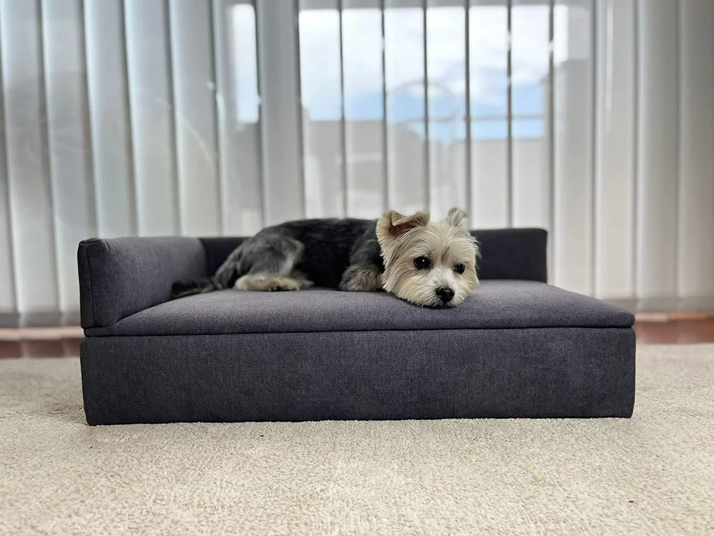 Skraut Home - Divano Letto Duque con Canapé | Animali Domestici, Cani o Gatti | Tessuto Speciale e Resistente | Comodo Schienale e Base Imbottita | 71 x 42 x 24 cm | Cani di Piccola o Media Taglia