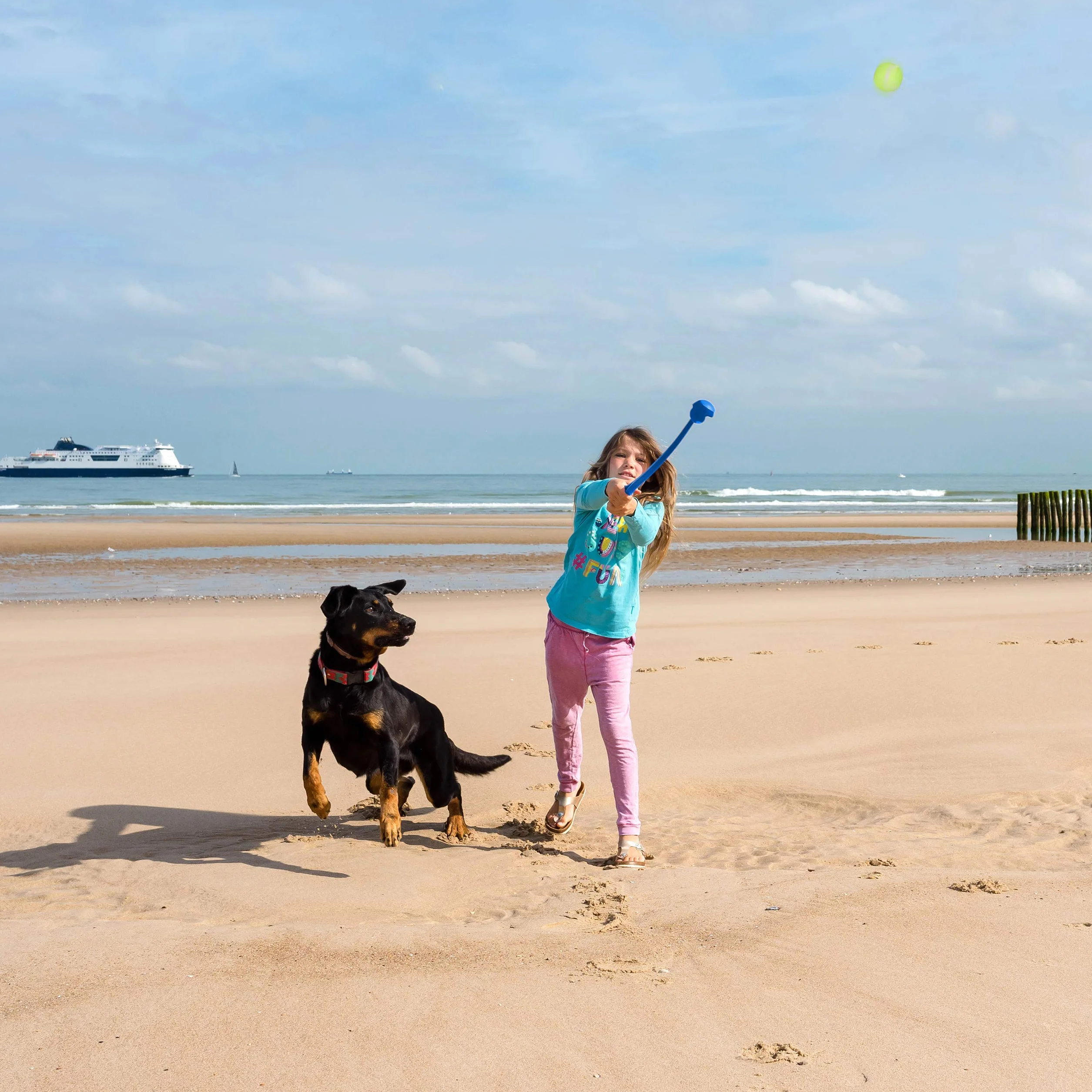 Relaxdays Lancia Palla per Cani, Set da 2 Giocattolo Ball Launcher per Animali Domestici, 5 Palline da Tennis, Blu Verde