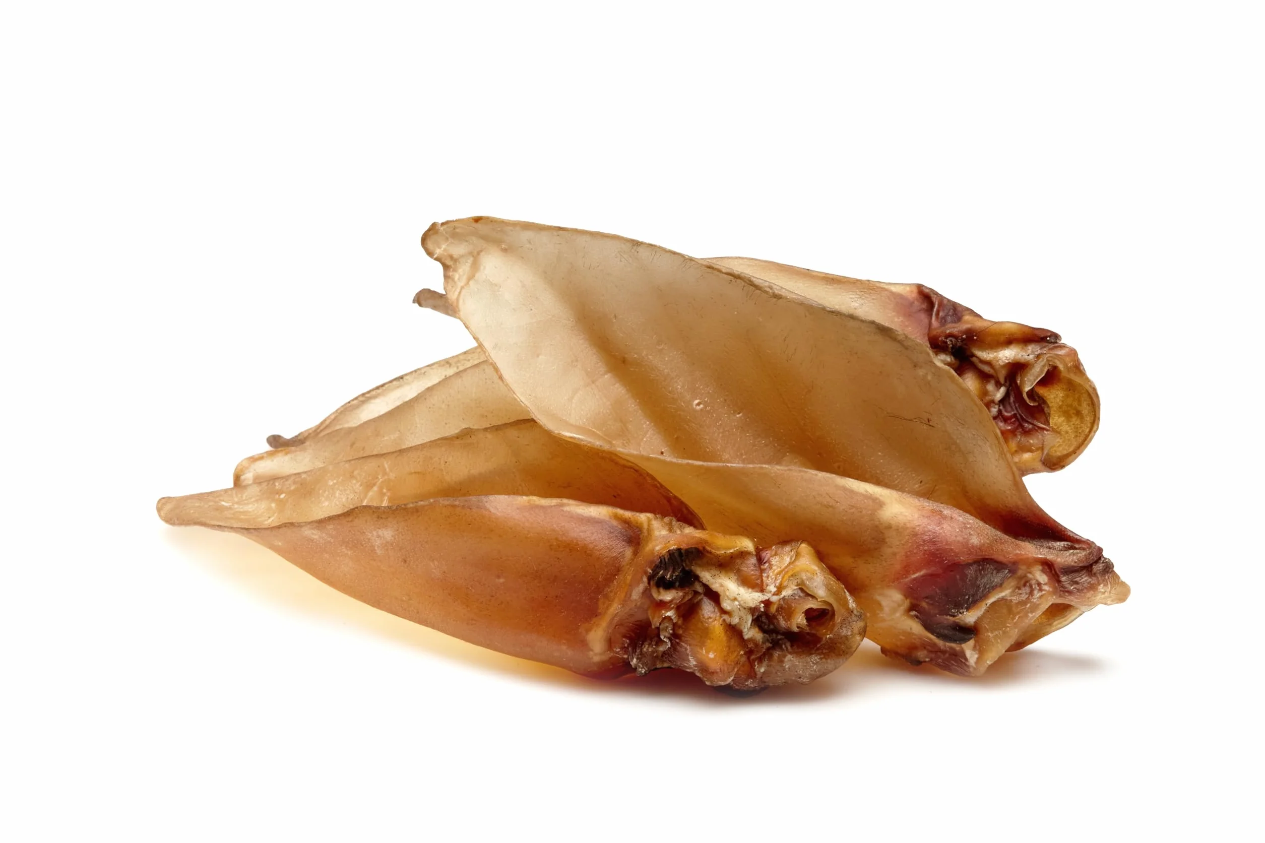 Frigera Orecchie di manzo con conchiglia, 500 g, naturali, ricchi di proteine, per cani, senza glutine e cereali, snack per cani di alta qualità senza additivi