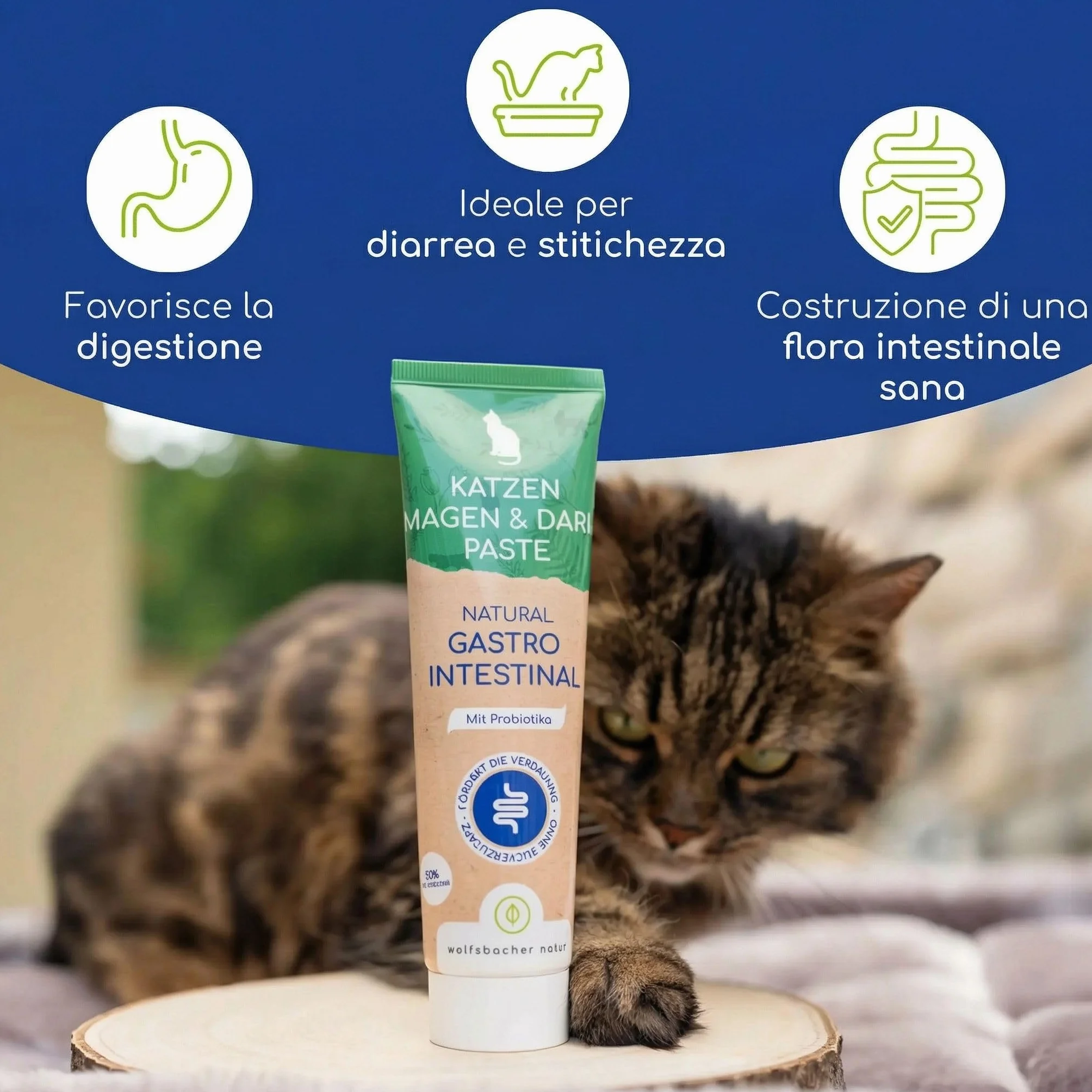 Pasta Gastrointestinale per Gatti – Con Probiotici e Corteccia di Olmo per la Flora Intestinale – Supporta Digestione e Stomaco – Snack Delicato 100g