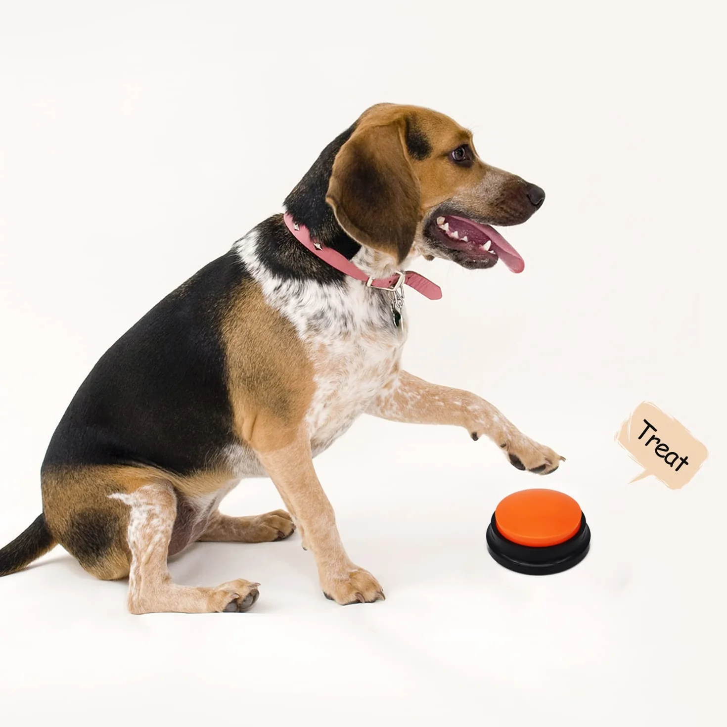 Pulsante di registrazione vocale, pulsanti per la comunicazione e l'addestramento degli animali domestici, registrazione e riproduzione in 30 secondi, regalo divertente per studio, ufficio casa (4