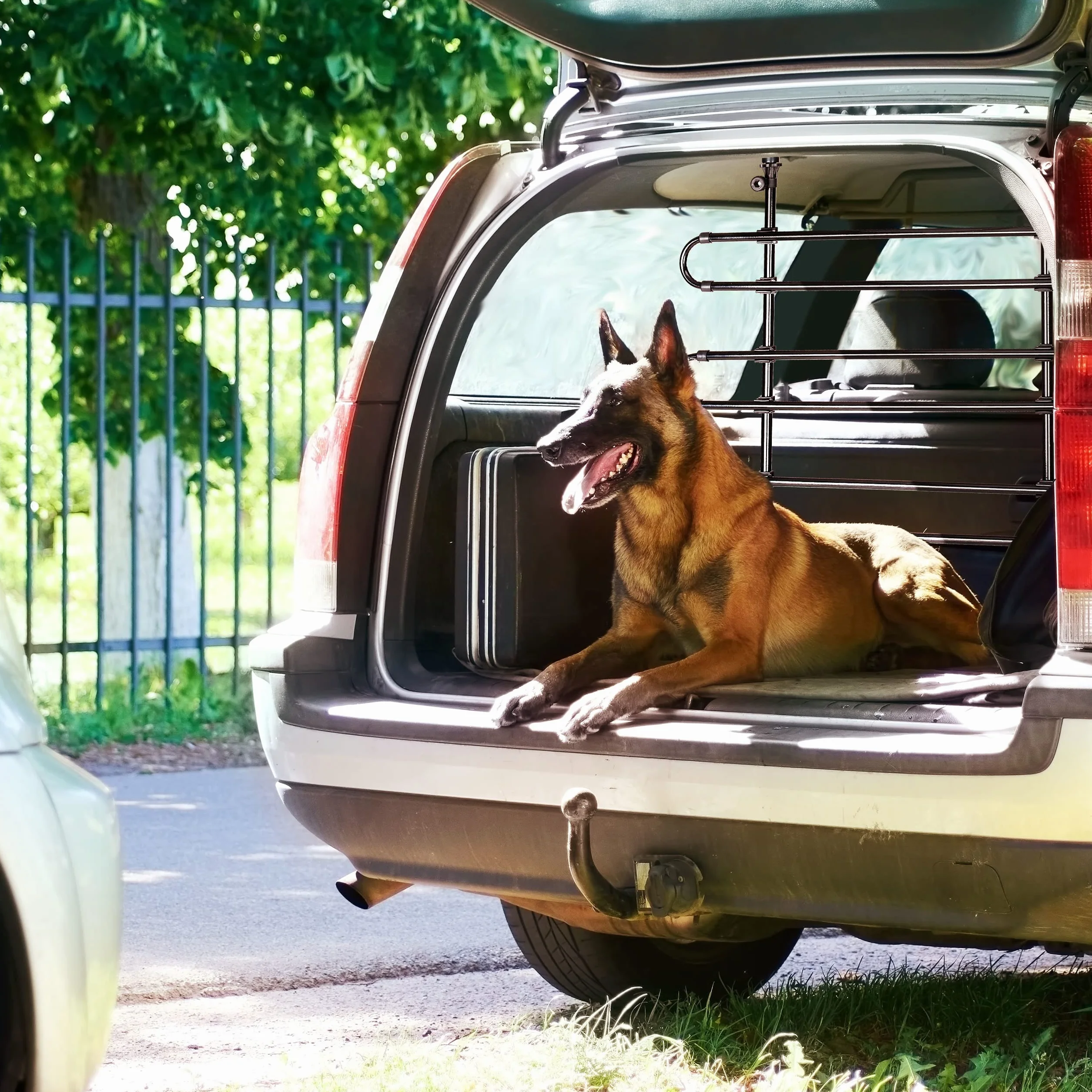 Relaxdays Divisorio Auto per Cani, Griglia Protettiva, da Agganciare, Universale, Altezza & Larghezza Regolabili, Nero