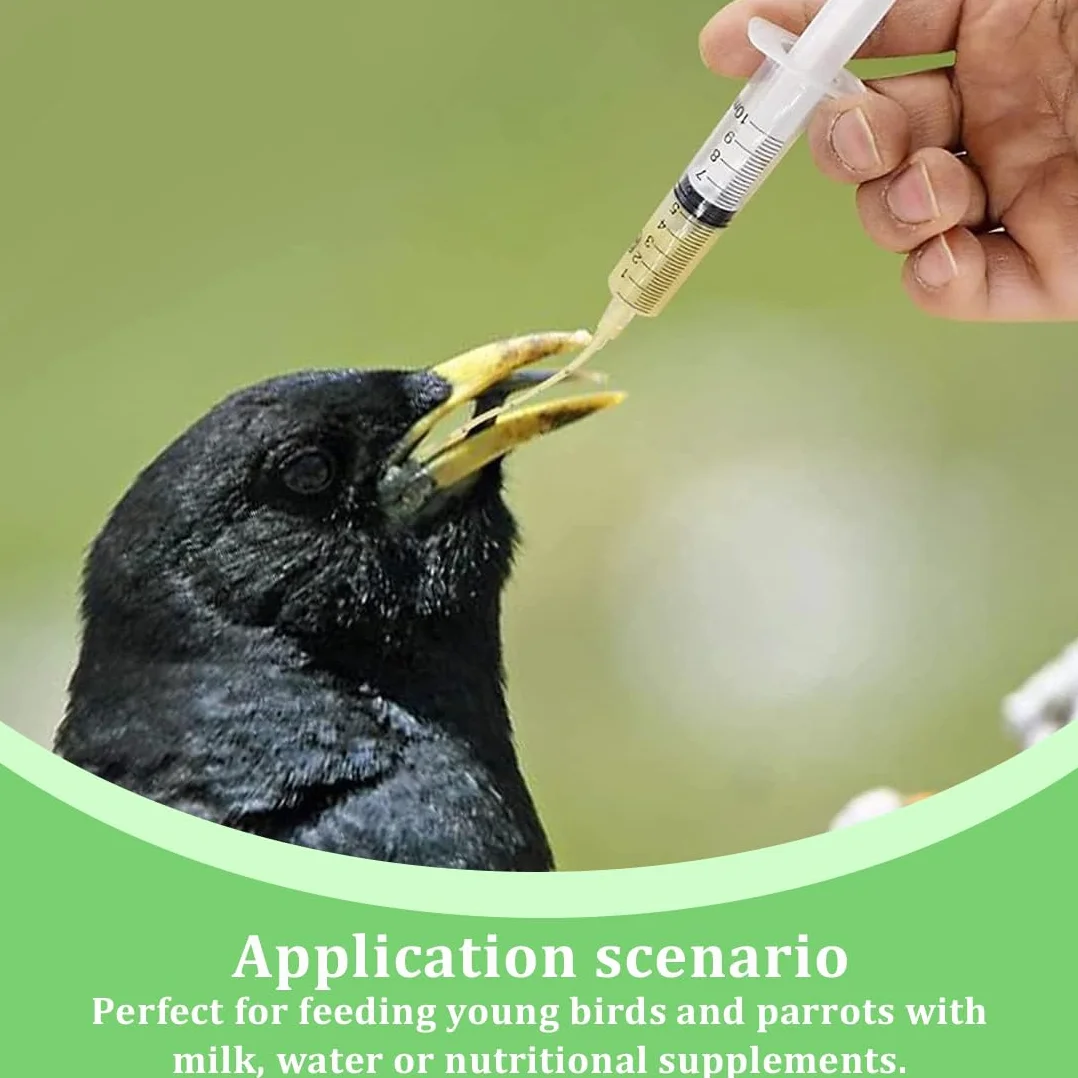 20 pezzi Alimentatore Pappagalli,Alimentatore Pappagalli Trasparente Uccelli Alimentazione Tubi Veloce Alimentazione Tubo per Bambino Pet Uccelli