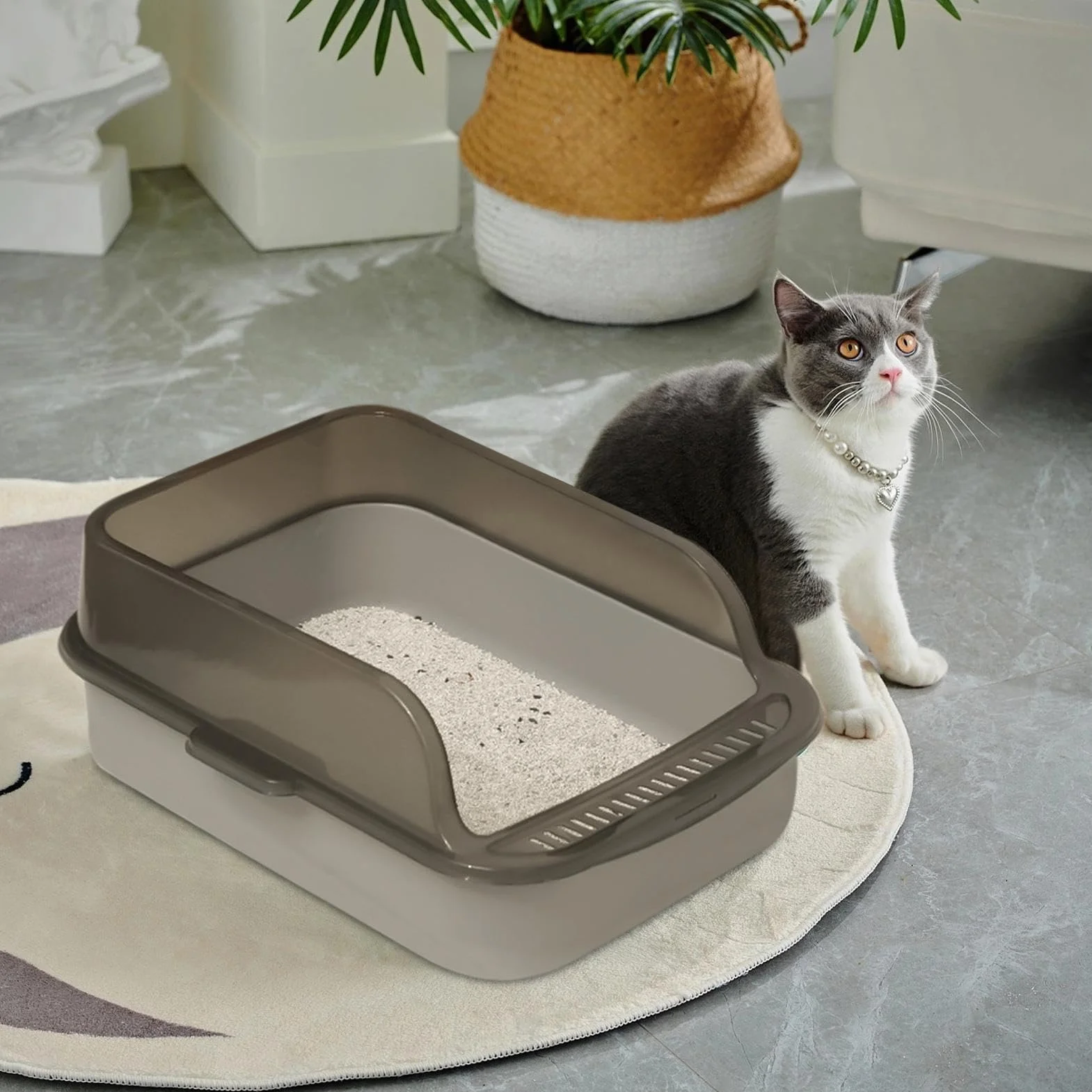 Lettiera Con Parte Superiore Aperta - Bordi Alti a Prova di Perdite Per Gatti | Toilette Per Gattini Facile da Pulire Con Parte Superiore Aperta