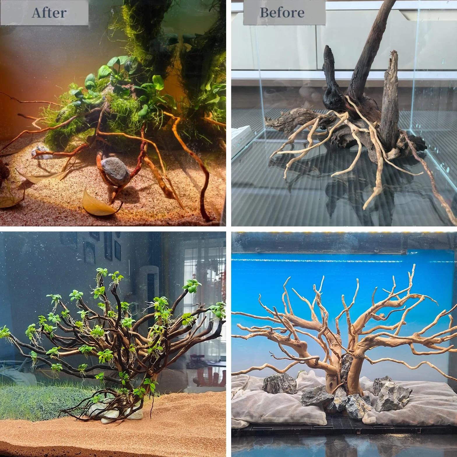 emours - Rami naturali per acquario, [170g] (40–80 cm / 16–32 pollici) - Rami unici di radice/ragno in legno per acquari, vasche con piante e terrari, decorazione per pesci e piante, ogni pezzo unico