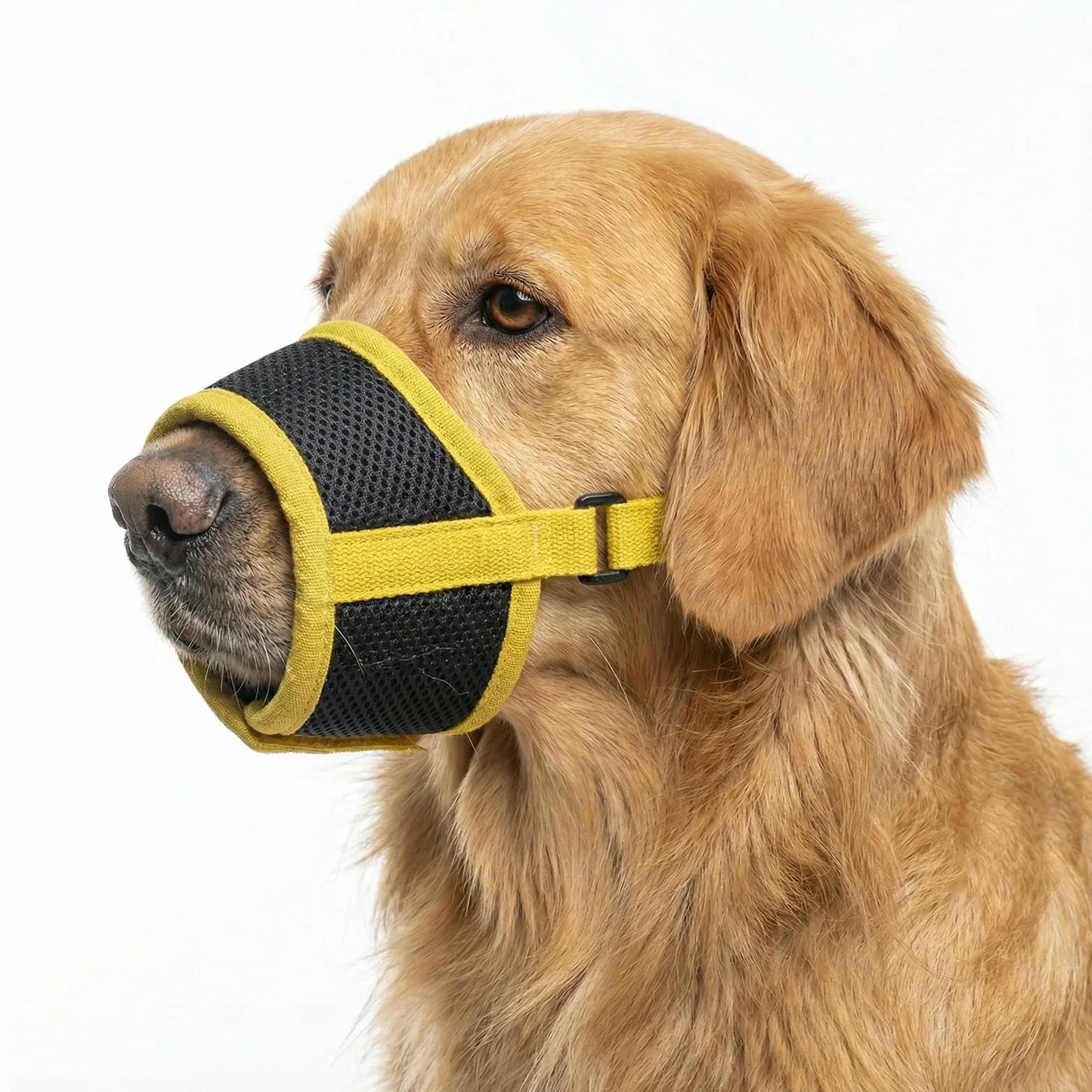 Museruola Morbida per Cani di Piccola Taglia, Bretella Regolabile in Maglia Traspirante, Sicura e Confortevole, Ideale per Toeletta, Addestramento e Viaggi (Taglia S)
