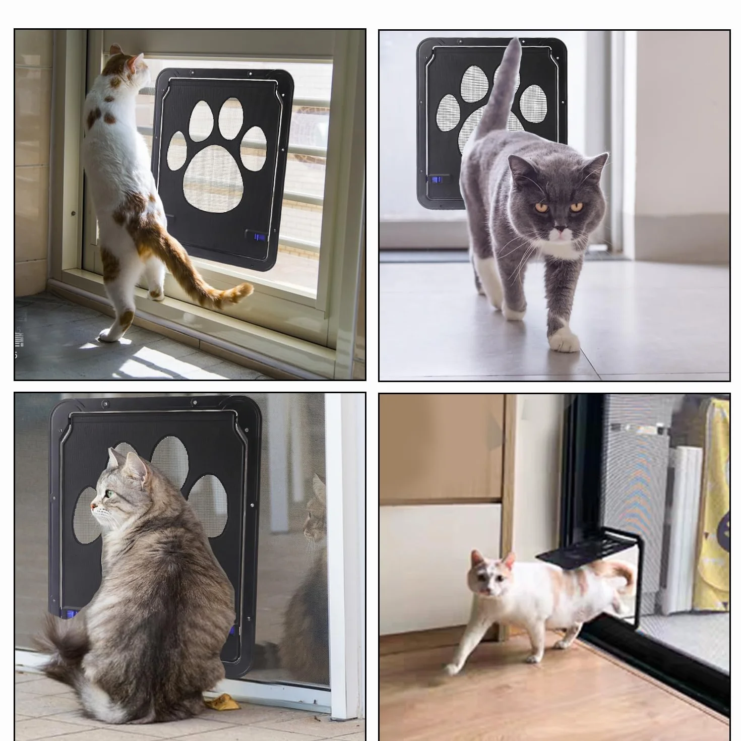 Gattaiola per Animali Domestici - Porta Basculante per Cani e Gatti 24 x 29 cm - Zanzariera Porticina Facile da Installare - Sportellino Finestra