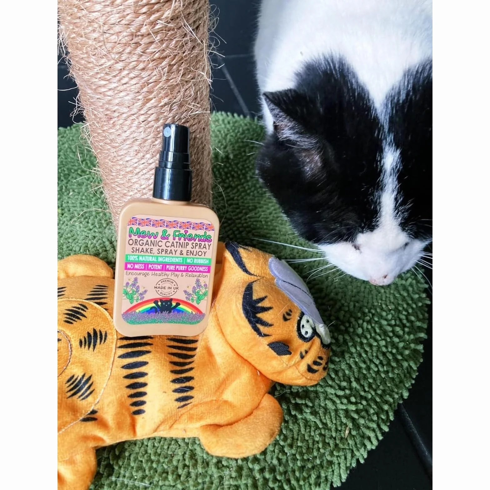 Mew & Friends Spray all'erba gatta per gatti, prodotto nel Regno Unito, 100% naturale e nip per gatti, coltivato in modo sostenibile, un giocattolo perfetto per gatti e dolcetti per gatti, si prega di
