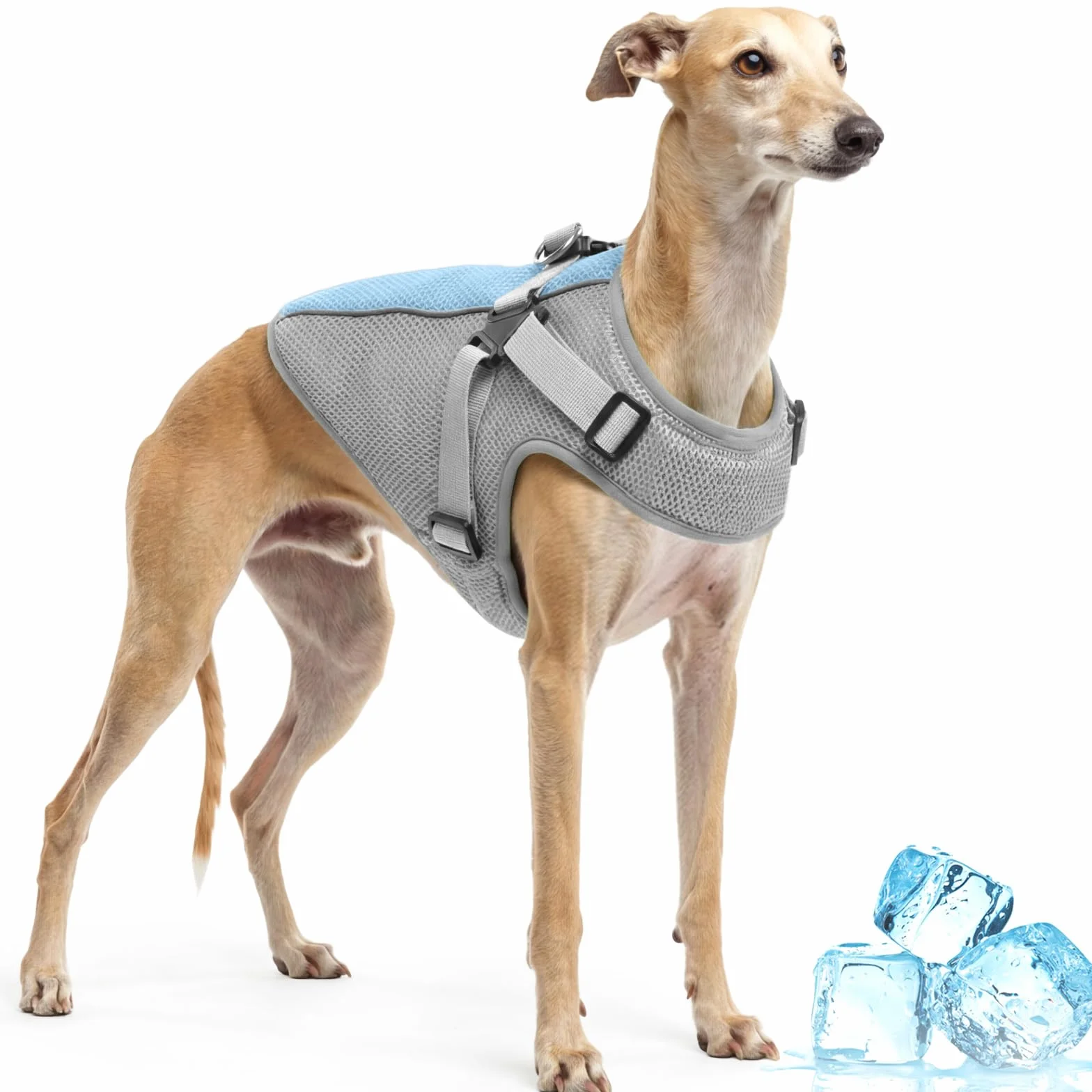 Giubbotto Rinfrescante Cane con Pettorina, Confortevole Cappotto Refrigerante Cane, Mantiene animale Fresco durante Passeggiate Estive, Riposo in Casa e Momenti di Relax(Grigio, L)