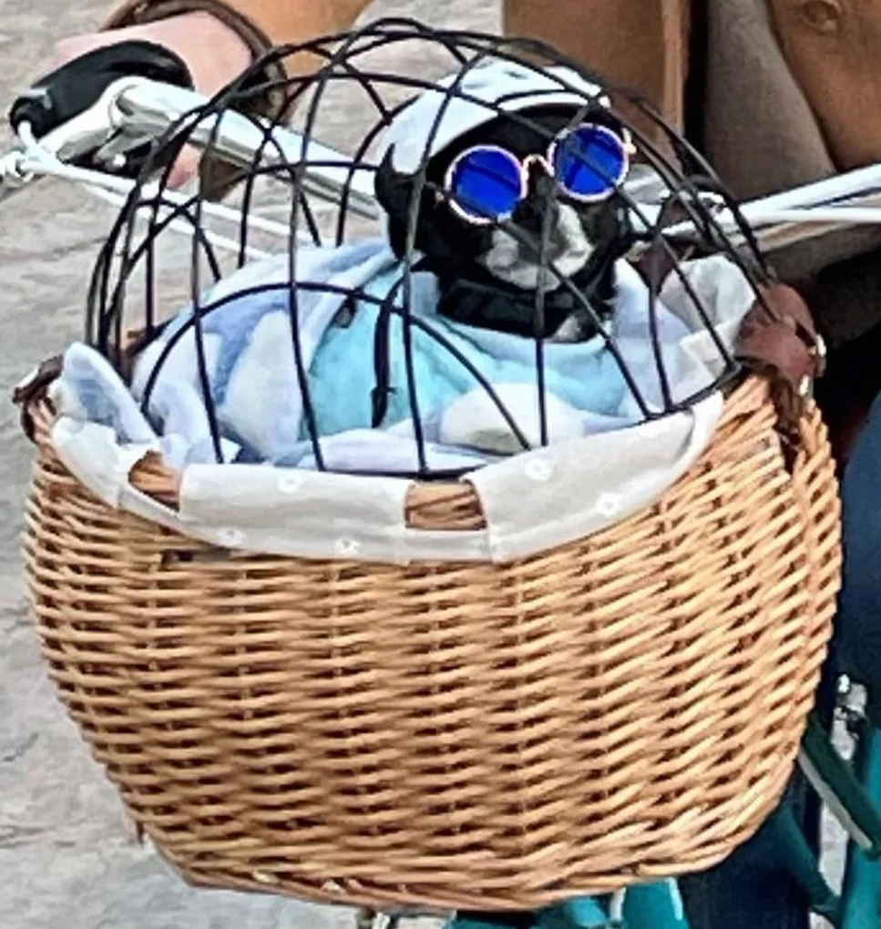 Cestino anteriore in vimini per bicicletta, con telaio in ferro, intrecciato a mano, per cani, gatti e piccoli animali,11.81 x 9.84 inch