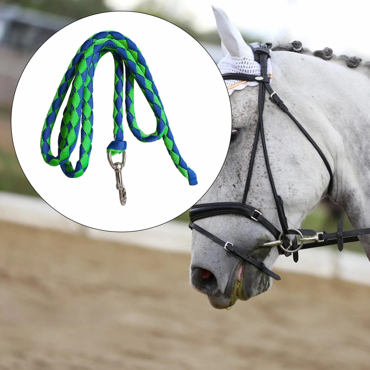 Corda per Cavallo con Attacco a Clip Sicuro, 2.5 m Verde e Blu