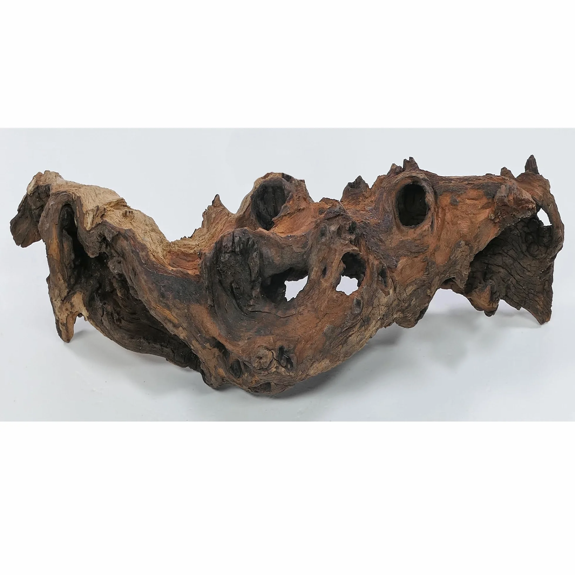 Radice di Mopani Taglia M // Radice di legno vero decorazione per acquario per gamberetti, pesci ornamentali, Hard Scape 20 cm - 30 cm (Mangrovie, Savanna) Aquascaping Terrario Decorazione per la casa