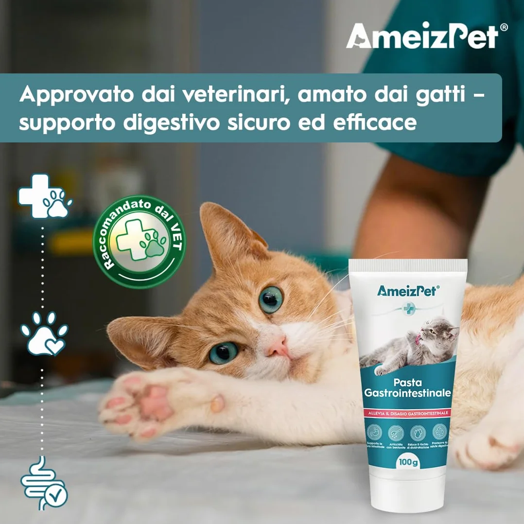 AmeizPet Pasta Gastrointestinale per Gatti, Supporto Gastrointestinale per la Salute Intestinale e la Flora Batterica, Integratore Digestivo per Gatti e Gattini, 100g (3.53 Oz)
