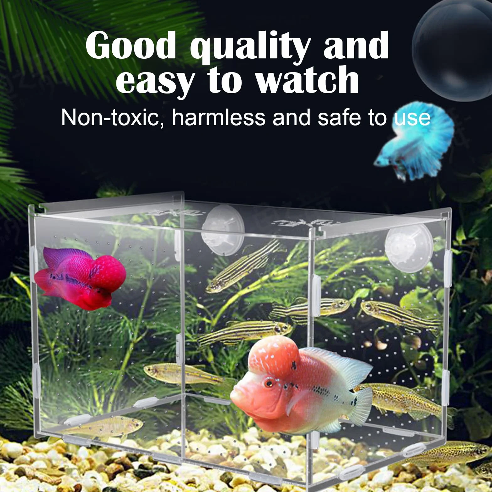 Nursery Acquario Sala Parto Pesci Acquario Sala Parto Acquario Piccola Scatola di Allevamento per Acquari può Essere utilizzato per L'isolamento, la Schiusa, la Piscicoltura, ecc