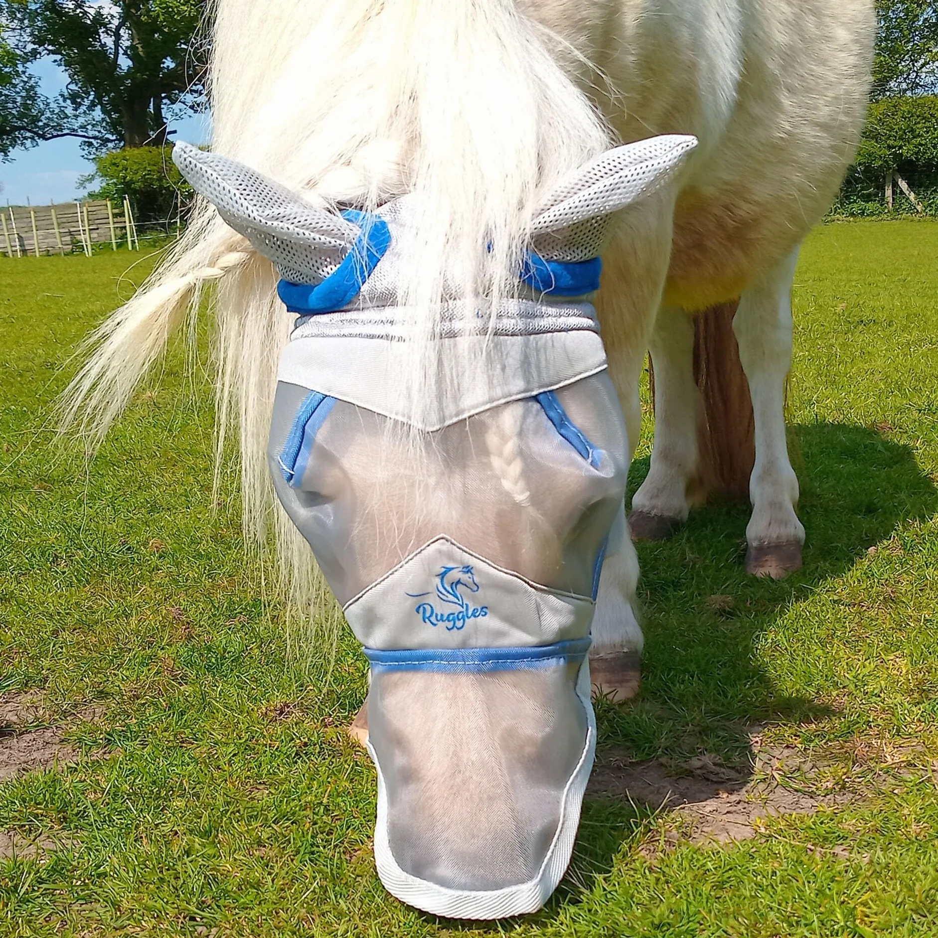 Ruggles Shetland Miniatura Sezione A Maschera Mosca Protezione Occhi Horse & Pony Mini Small & Large Fodera In Pile (Mini-Con Naso)