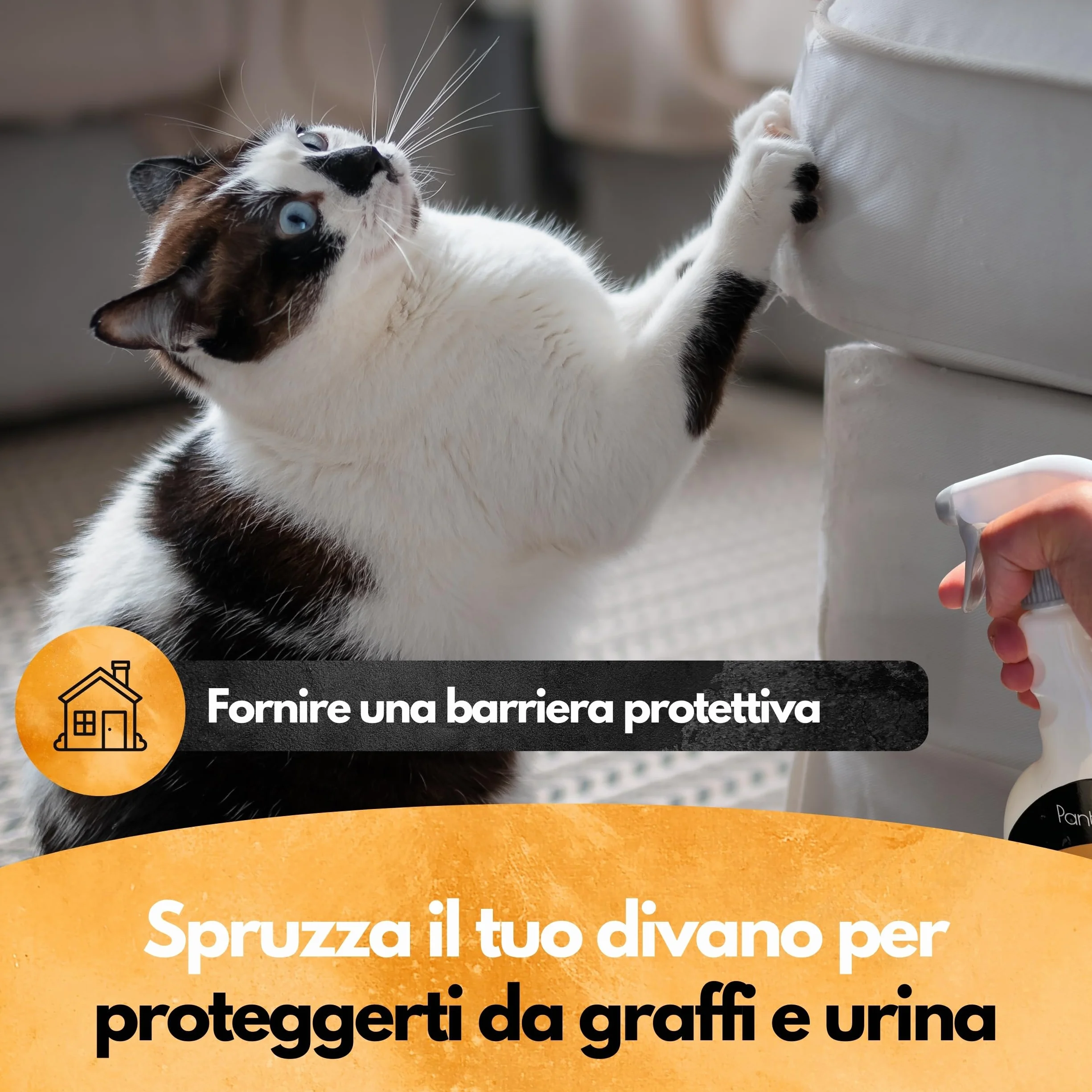 Panteer Spray repellente per gatti 500ml - PROTEZIONE A LUNGO TERMINE CONTRO L'URINA - Allontana i gatti con eucalipto - Scaccia gatti - Repellente per gatti da esterno - Deterrente per gatti