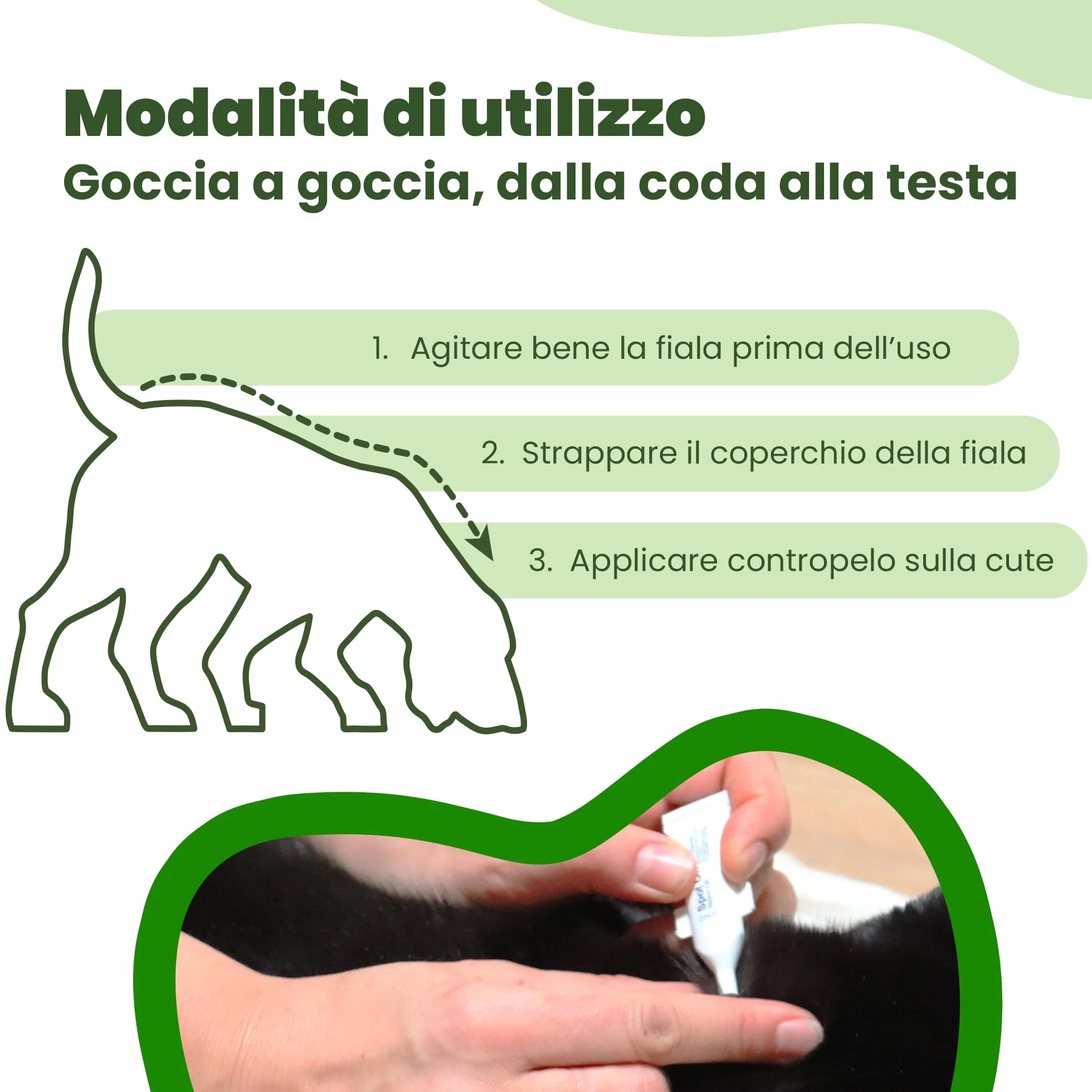 CAMON | Spot-On Protection Cane (0-10kg), 5 Fiale da 3ml con Olio di Neem, Naturale e Efficace