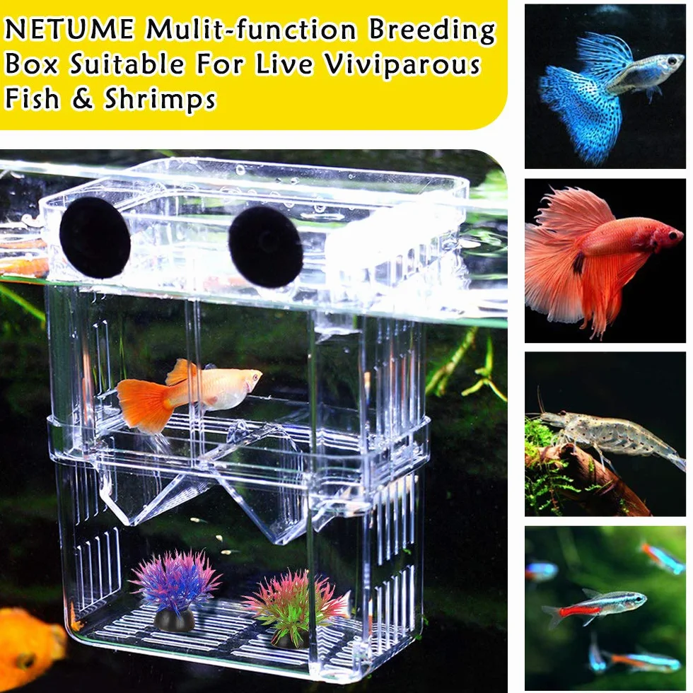 NETUEM - Contenitore per allevamento pesci per acquario, nursery in acrilico isolante a doppio strato, incubatrice per guppy e pesci tropicali, con ventose, misura L