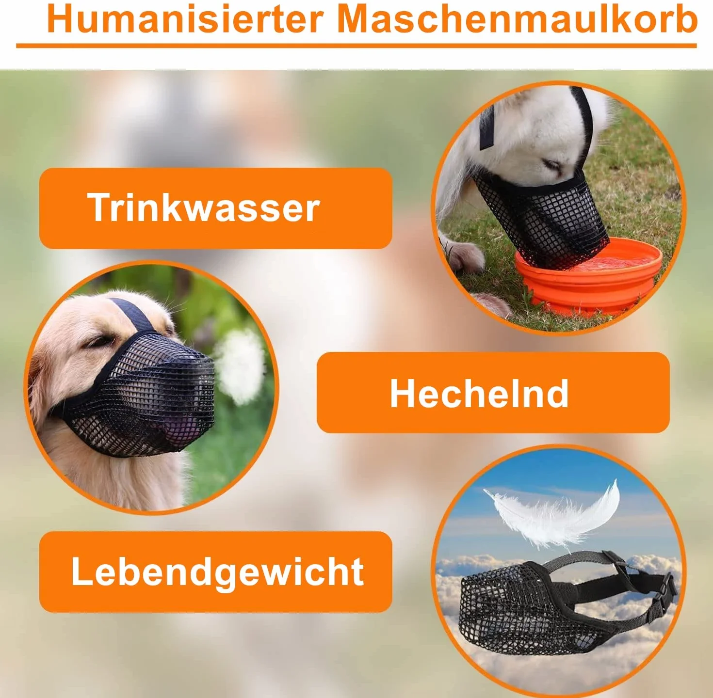 Museruola per Cani Con Rete Arrotondata, Traspirante e Regolabile - per Cani di Taglia Piccola, Media e Grande, Taglia M