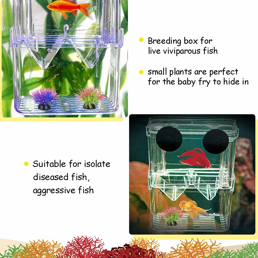 NETUEM - Contenitore per allevamento pesci per acquario, nursery in acrilico isolante a doppio strato, incubatrice per guppy e pesci tropicali, con ventose, misura L