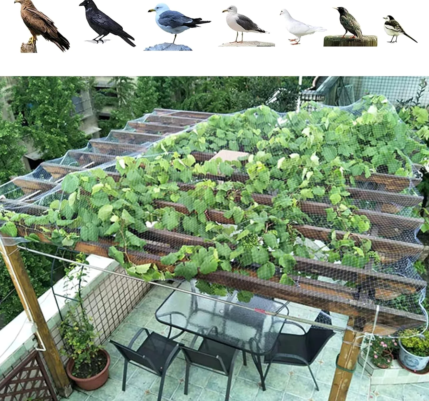 Rete for Piante for Frutta e Verdura Rete di Sicurezza Leggera Bianca for pollai, recinzioni da Giardino, Barriere for Conigli e Animali(5x10m/16.4x32.8ft)