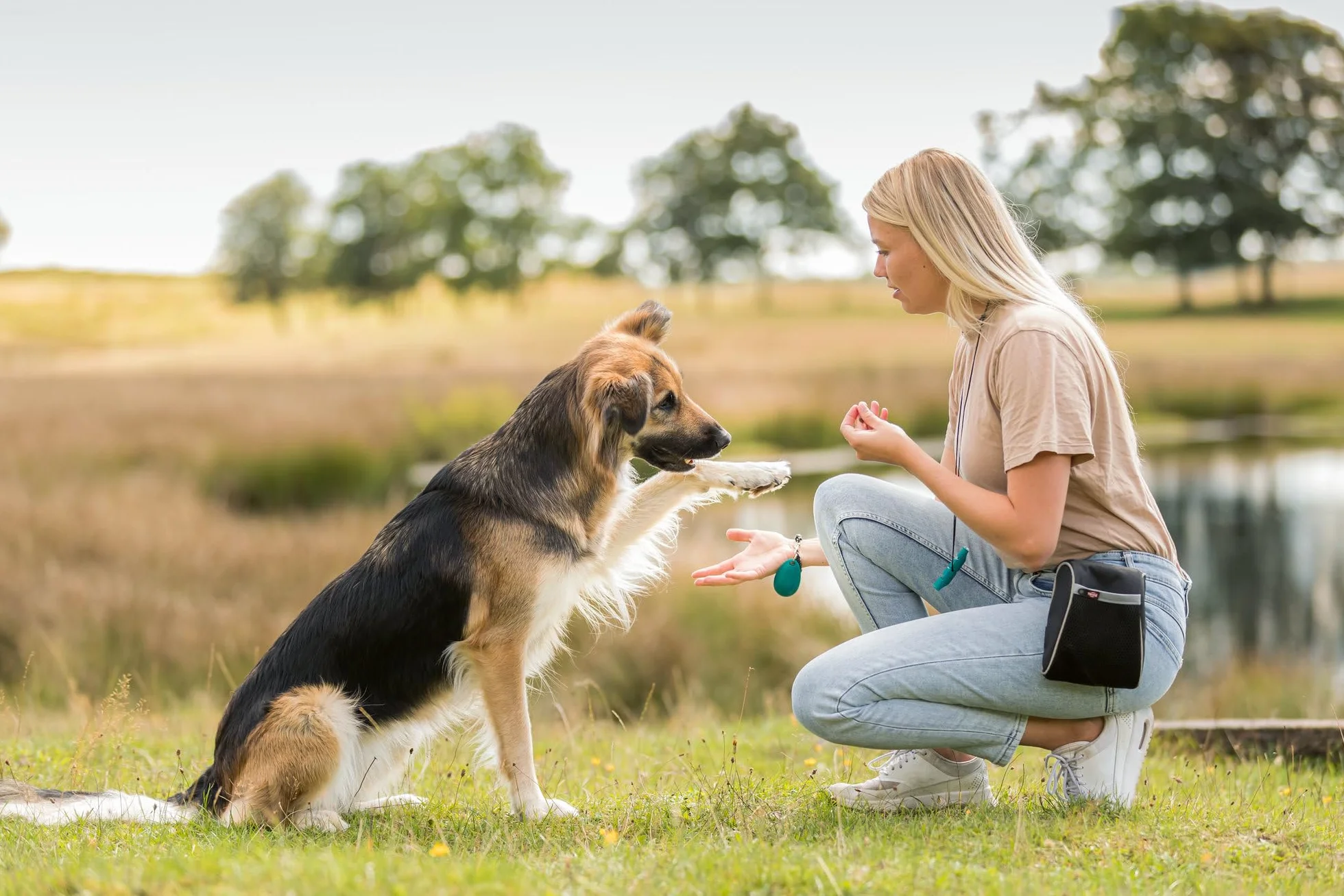 TRIXIE PREMIO strisce formaggio & pollo snack per cani – gustoso snack al pollo senza zuccheri aggiunti né glutine – senza cereali – premio per l'addestramento – 100 g