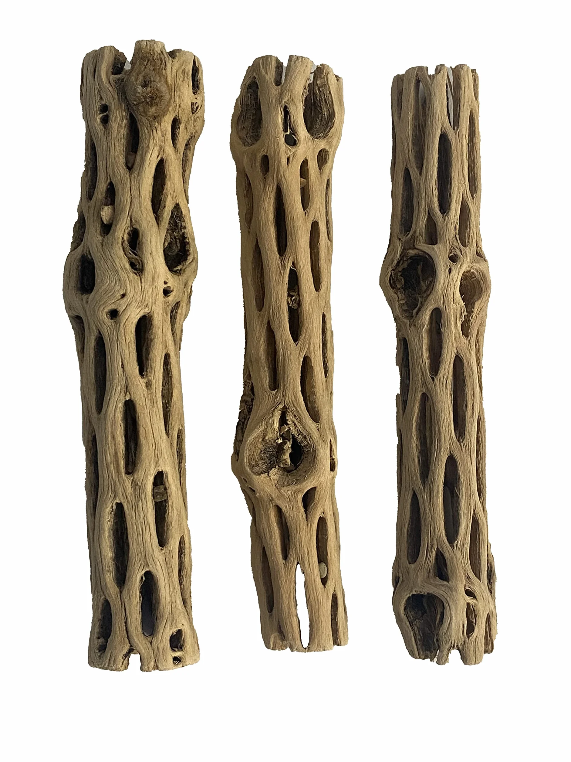 Fantastico Legno Naturale di Cholla/Choya, 3 Pezzi da 15.2 cm per Gli Habitat dei gamberetti e Il Trattamento Alimentare, per Erbe e granchi, Plettri per Acquario, Senza Spine, essiccati biologici