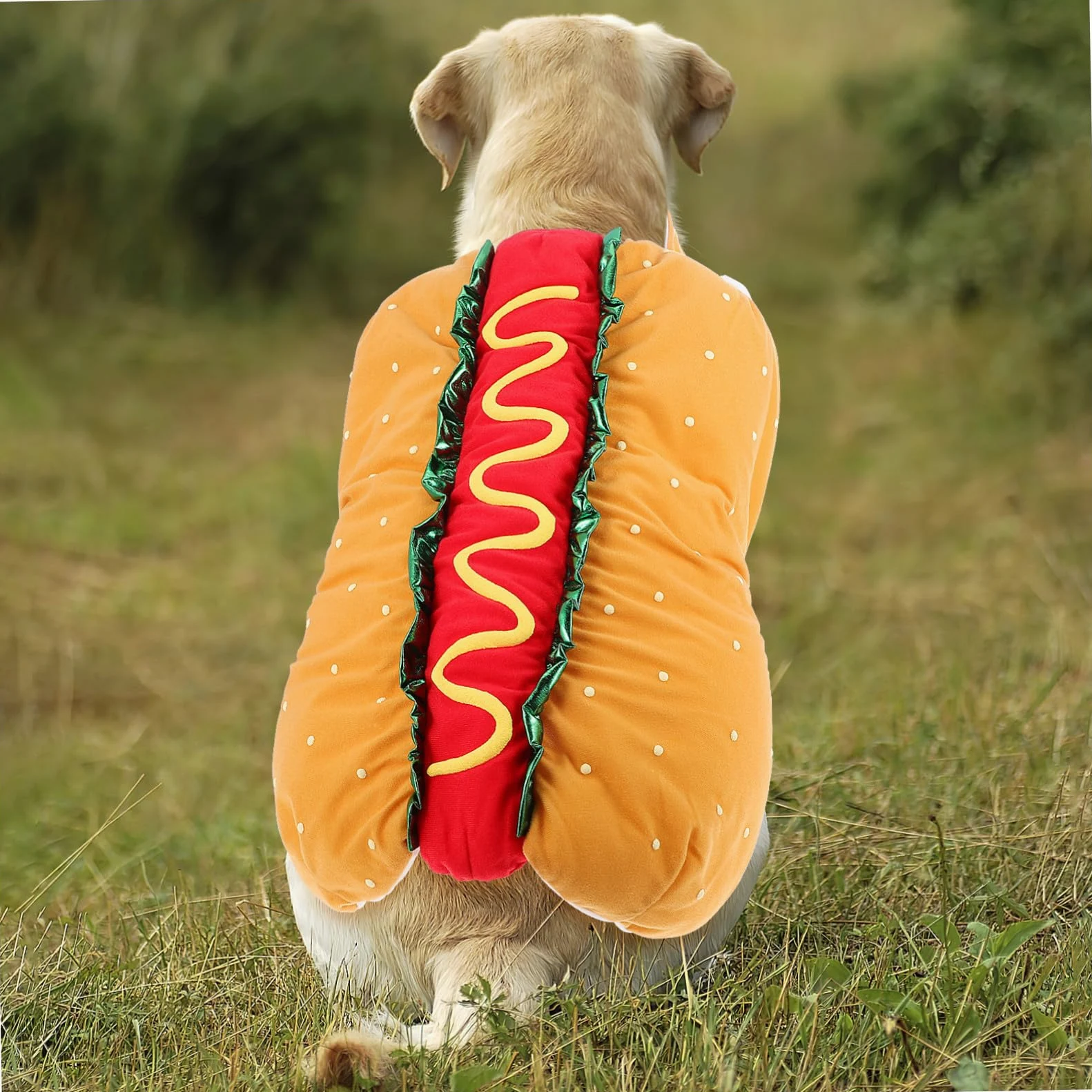 VICASKY Costume di Natale per Gatto e Cane Vestito di Carnevale in Poliestere a Tema Hot Dog Festivo