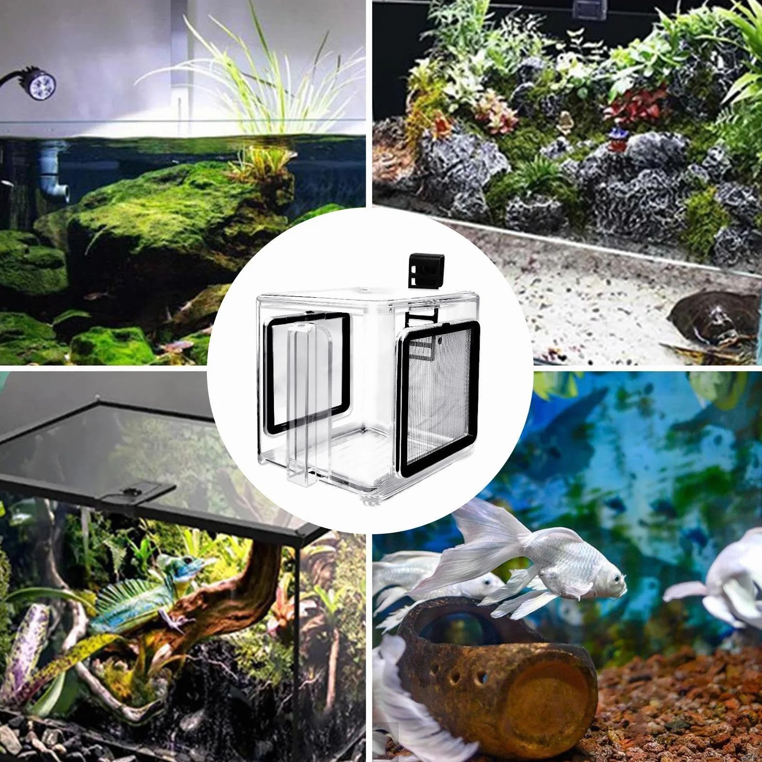 Scatola per allevamento di pesce, scatola isolante in acrilico per acquari – scatola acrilica incubatrice per acqua dolce e marina con divisorio