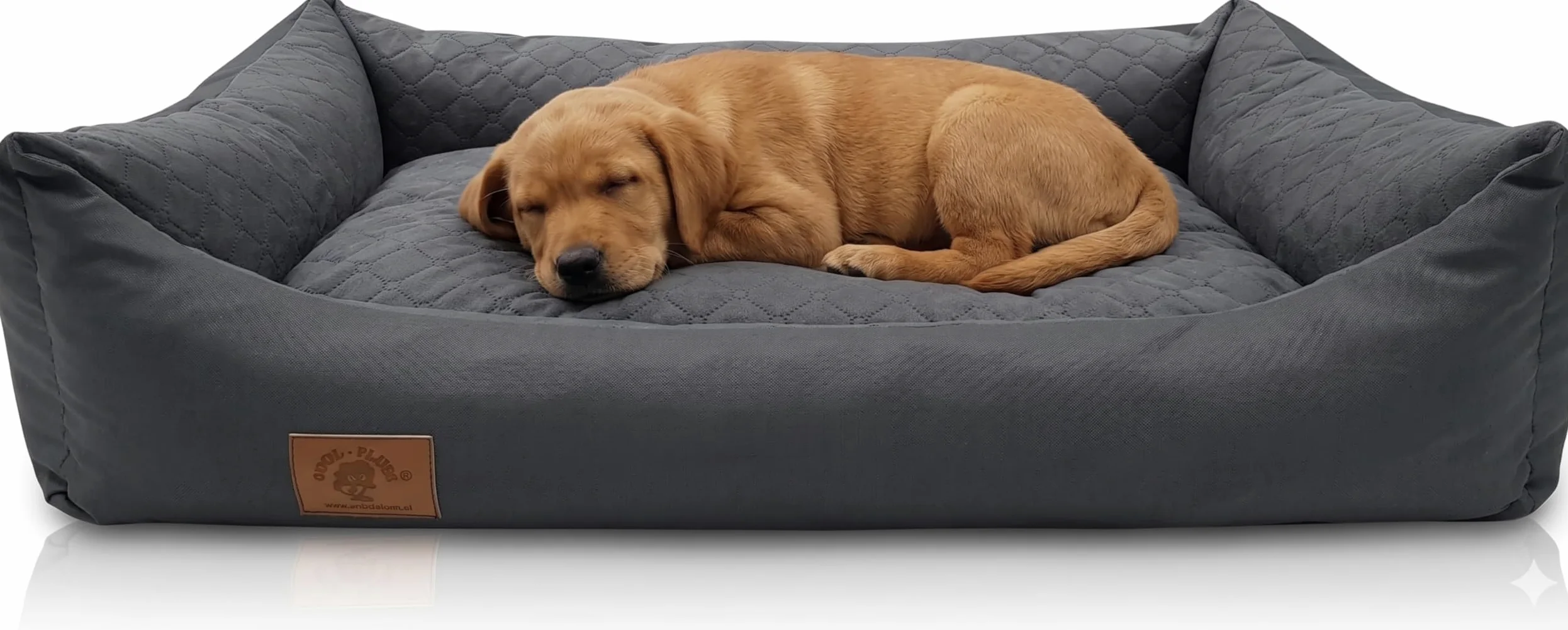 Odolplusz - Cuccia per cani XXL, cuscino per cani, divano per cani con cuscino reversibile (dimensioni e colore a scelta)