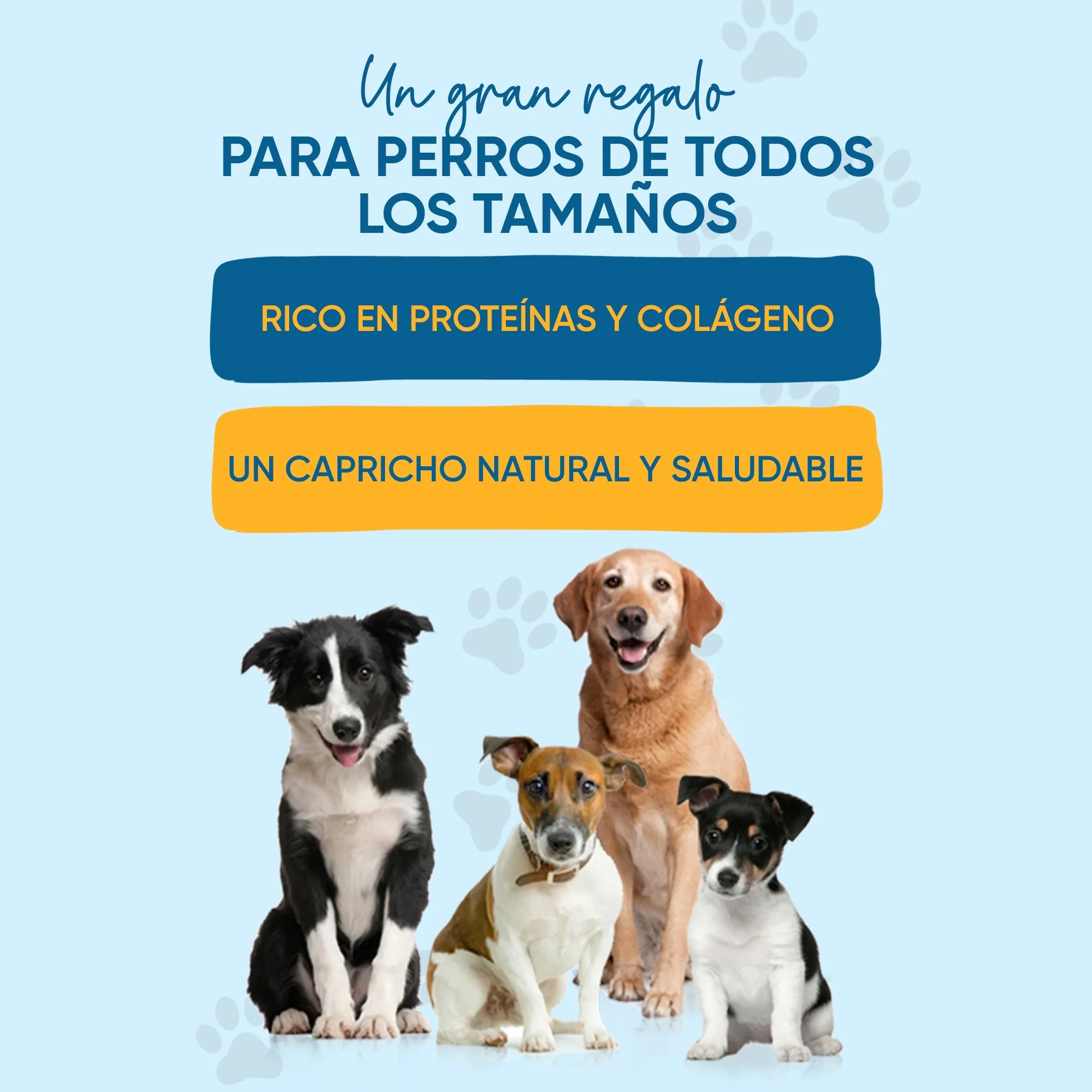 123 Treats Orecchie di Coniglio con Pelo tutto naturale Bocconcini da masticare per cani (1 Kg)