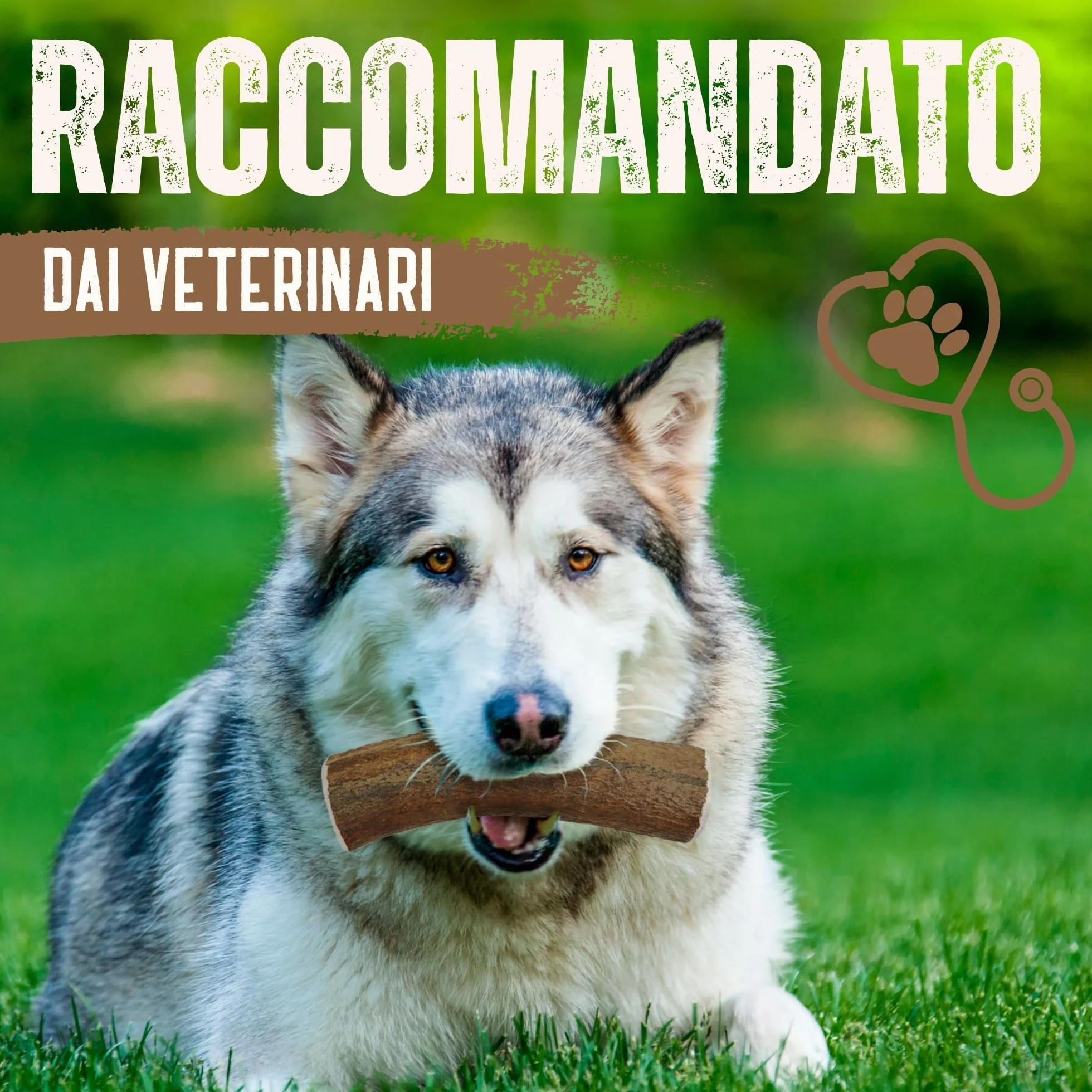 Corno di Cervo Naturale per Cani | Masticatore Dentale Duraturo | Origine Naturale, Senza Additivi | Kira&Gara® (XL - 200-240g, Pack de 1)