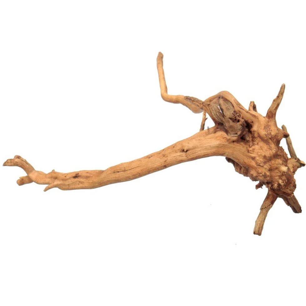 Legno Naturale Per La Decorazione Dell'Acquario, 5-20cm Paesaggio Naturale Driftwood Decorazioni Per Acquario Decorazione Della Radice Dell'Albero Di Legno