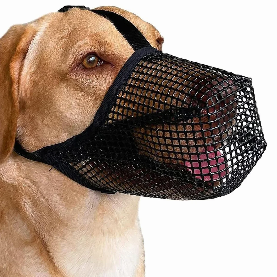 Museruola per Cani, Museruola Traspirante Cani Regolabile, Addestramento A Maschera, Copertura di Piccola Media Grande Taglia