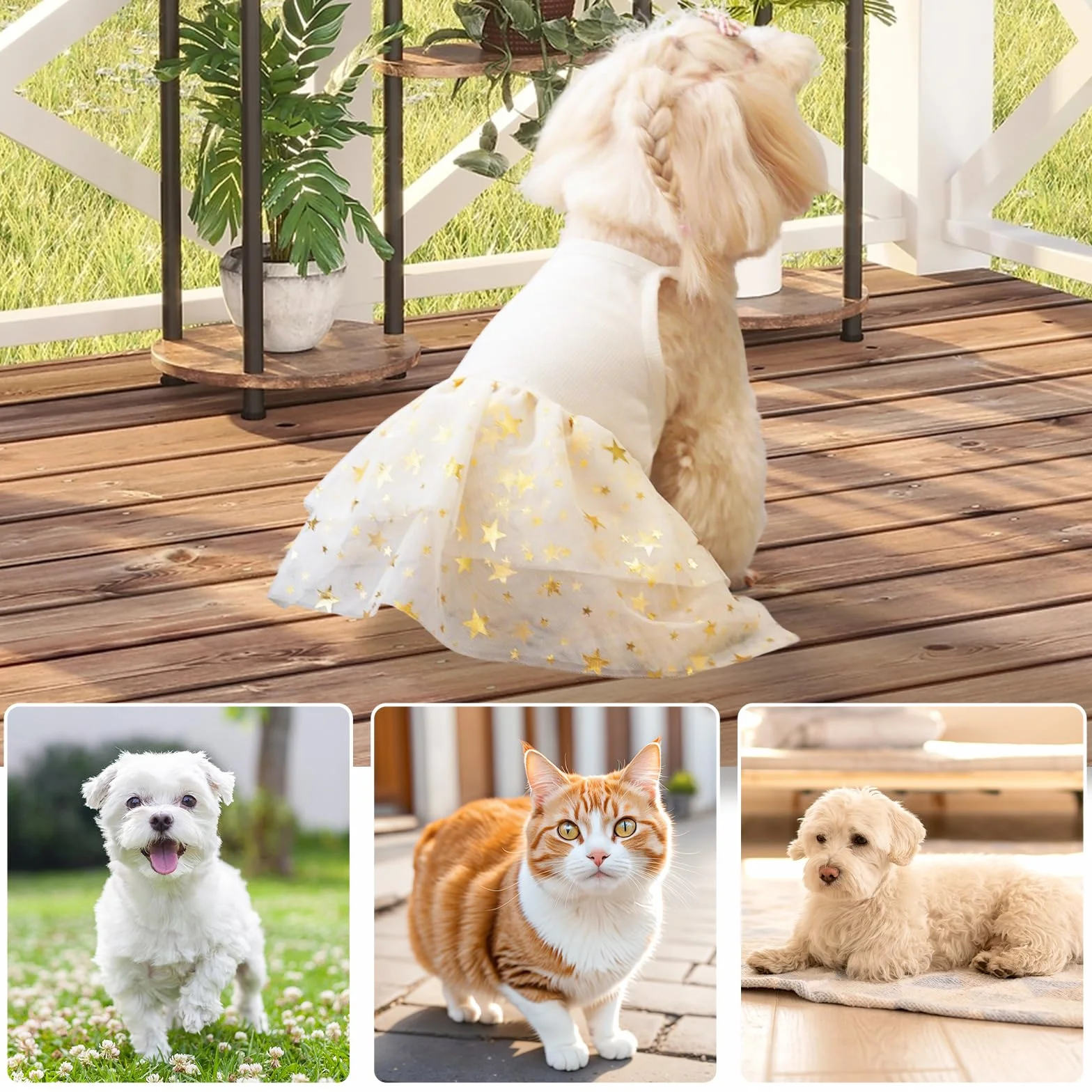 Vestito a tutù per cani con gonna in tulle e pizzo, glitter a stella, Giallo M