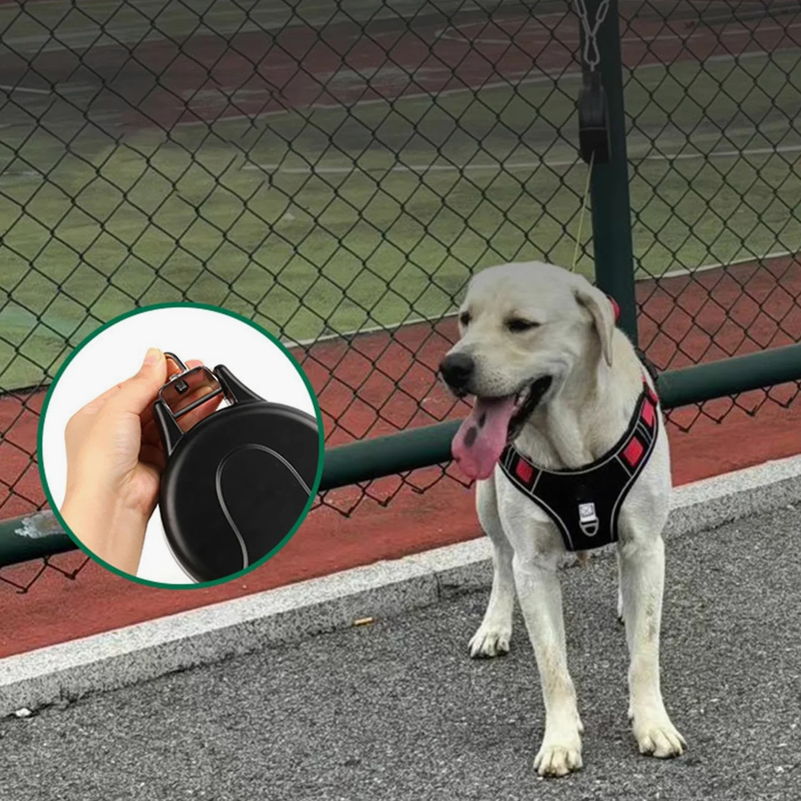 Guinzaglio Retrattile Per Cani Strumento Lungo Di Facile Conservazione | Retrattile Per Cani Da Parete per Cani di Piccola Media e Grossa Taglia per Passeggiate Escursioni Campeggio Spiaggia e Gia
