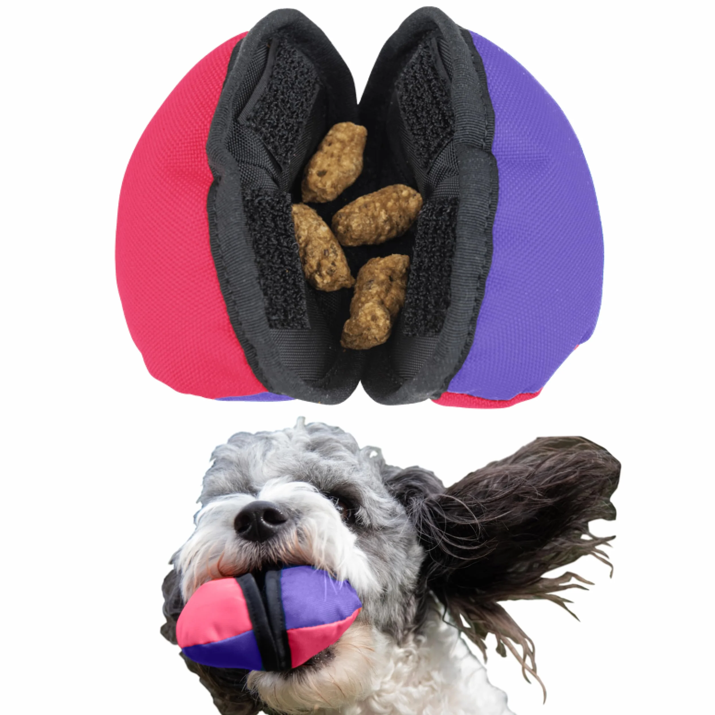 Tug-E-Nuff Dog Gear - Conchiglia giocattolo