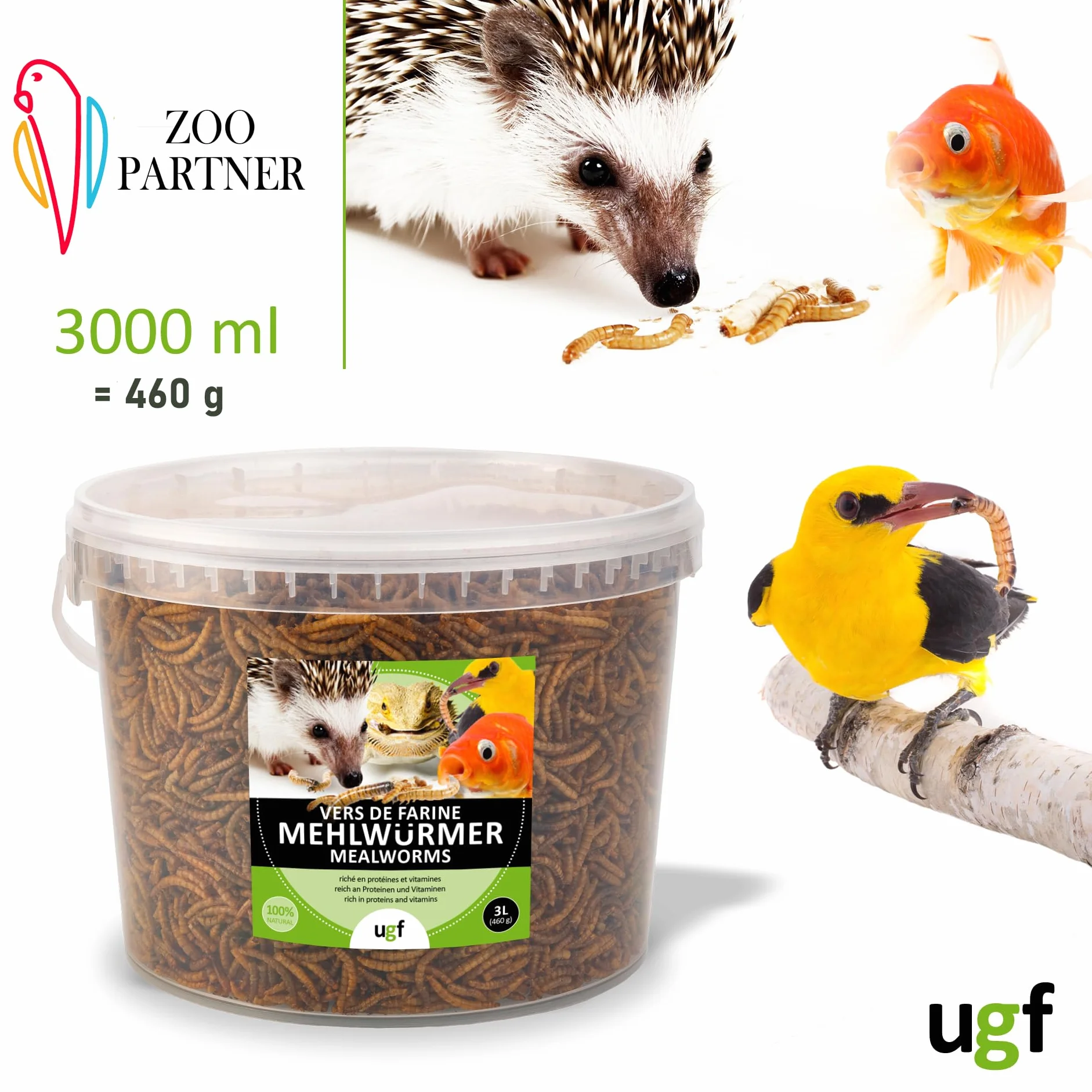 UGF - Vermi della farina essiccati di prima qualità - 460 g in un secchio da 3 litri, Cibo per uccelli selvatici, tutto l'anno, cibo per ricci, cibo per scoiattoli, cibo per criceti