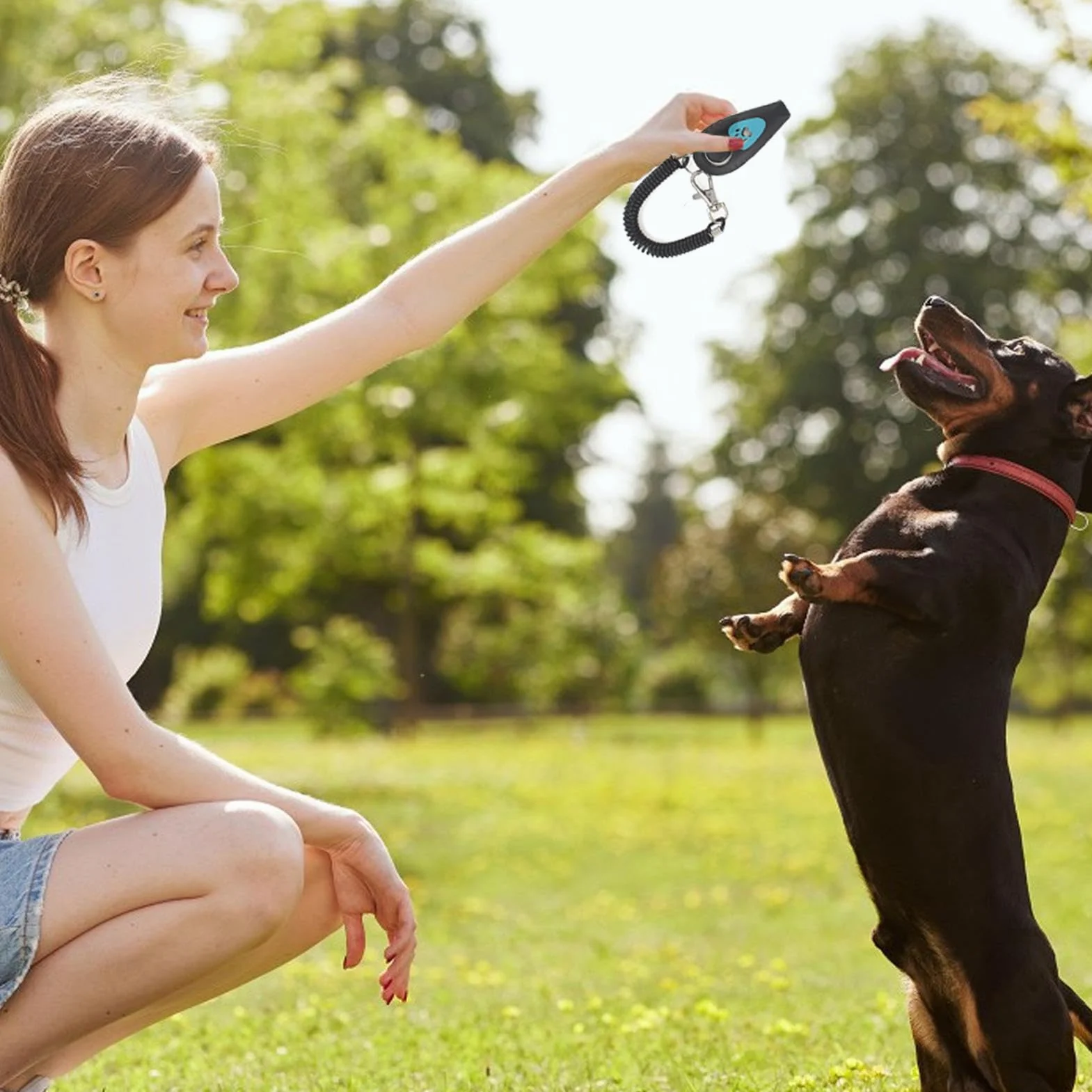 Clicker per cani – Clicker per addestramento animali domestici | cinturino da polso resistente | aiuto comportamentale con cinturino da polso | dispositivo di richiamo silenzioso | strumenti di