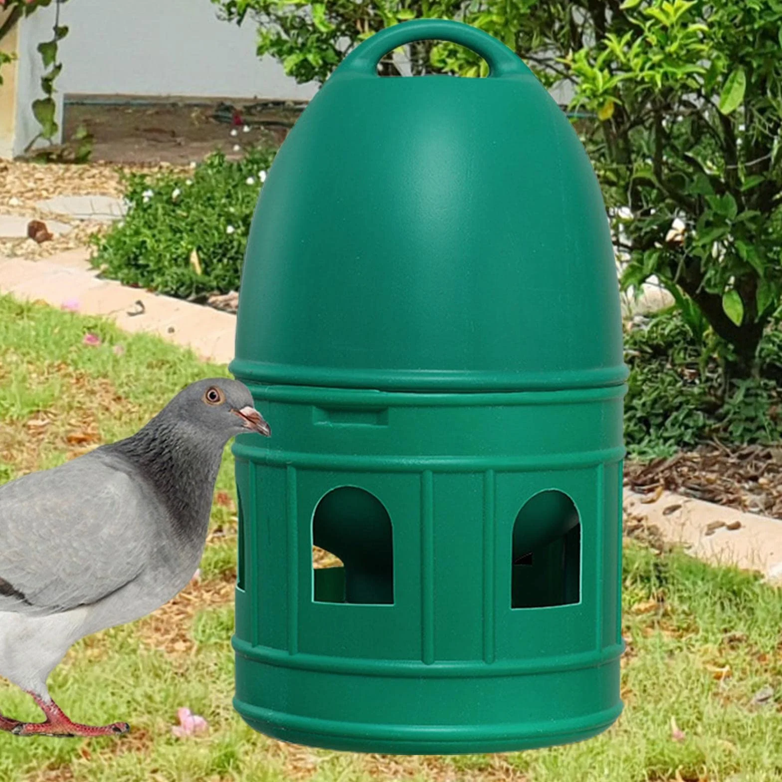 predolo Abbeveratoio per Uccelli/Anatra Pollo Quaglia Distributore d'Acqua Alimentatore Automatico con Manico sospeso/Abbeveratoio di Grande capacità, Verde 5L