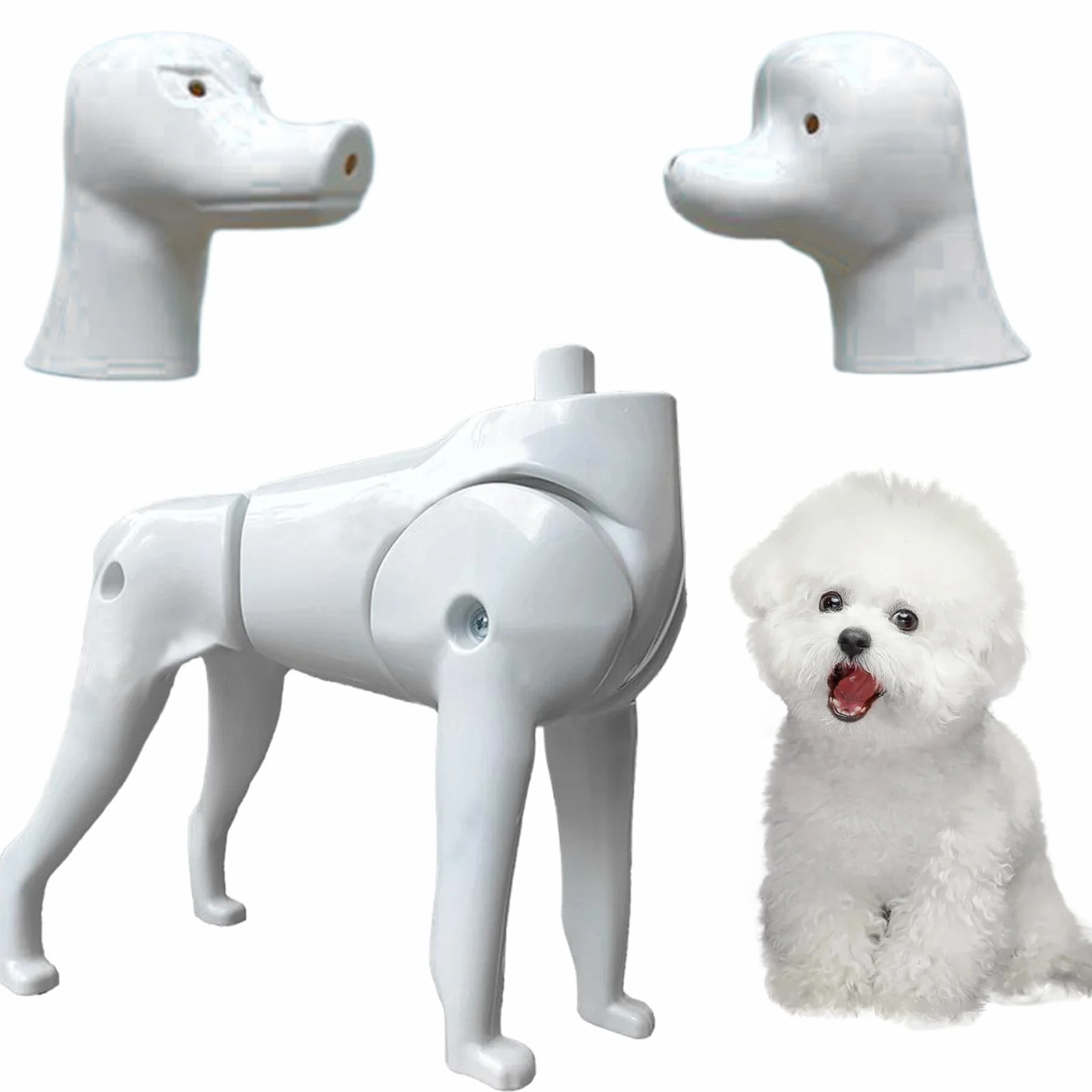 Modello per cani Mannequin, 2 in 1 Pomeranian & Poodle Dog Model, strumento di pratica di toelettatura per l'addestramento del toelettatore