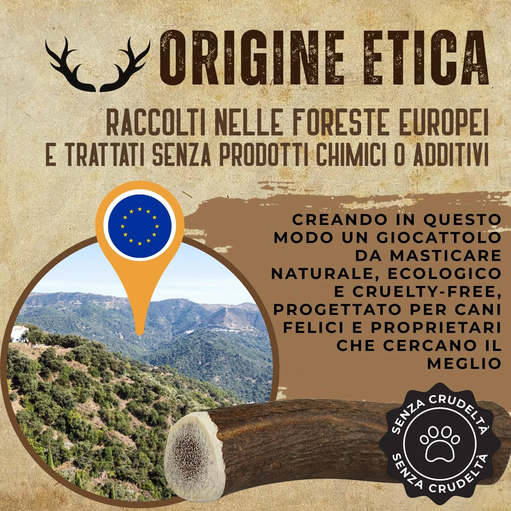Corno di Cervo Naturale per Cani | Masticatore Dentale Duraturo | Origine Naturale, Senza Additivi | Kira&Gara® (XL - 200-240g, Pack de 1)
