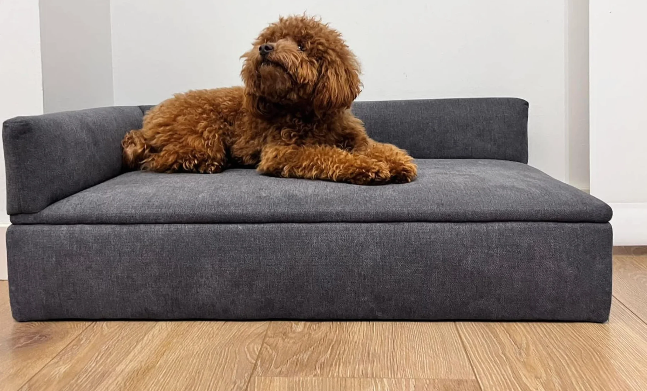 Skraut Home - Divano Letto Duque con Canapé | Animali Domestici, Cani o Gatti | Tessuto Speciale e Resistente | Comodo Schienale e Base Imbottita | 71 x 42 x 24 cm | Cani di Piccola o Media Taglia