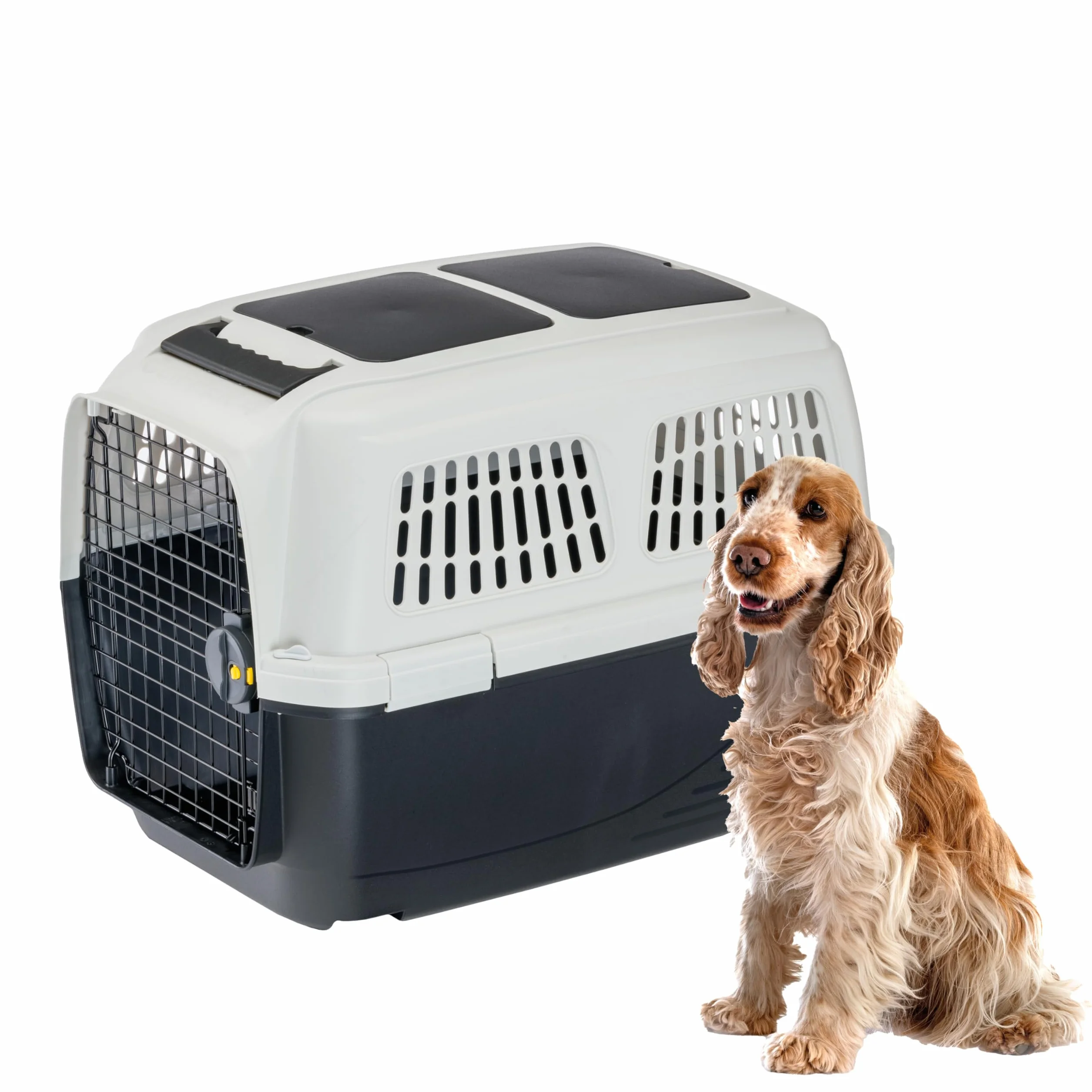 Ferplast Trasportino Cane CLIPPER PLUS, IATA, per Taglia Media Max 20 Kg, Rigido, Chiusura Sicura, Doppio Vano per Accessori, Maniglia Estraibile, 71 x 50 x h 51 cm