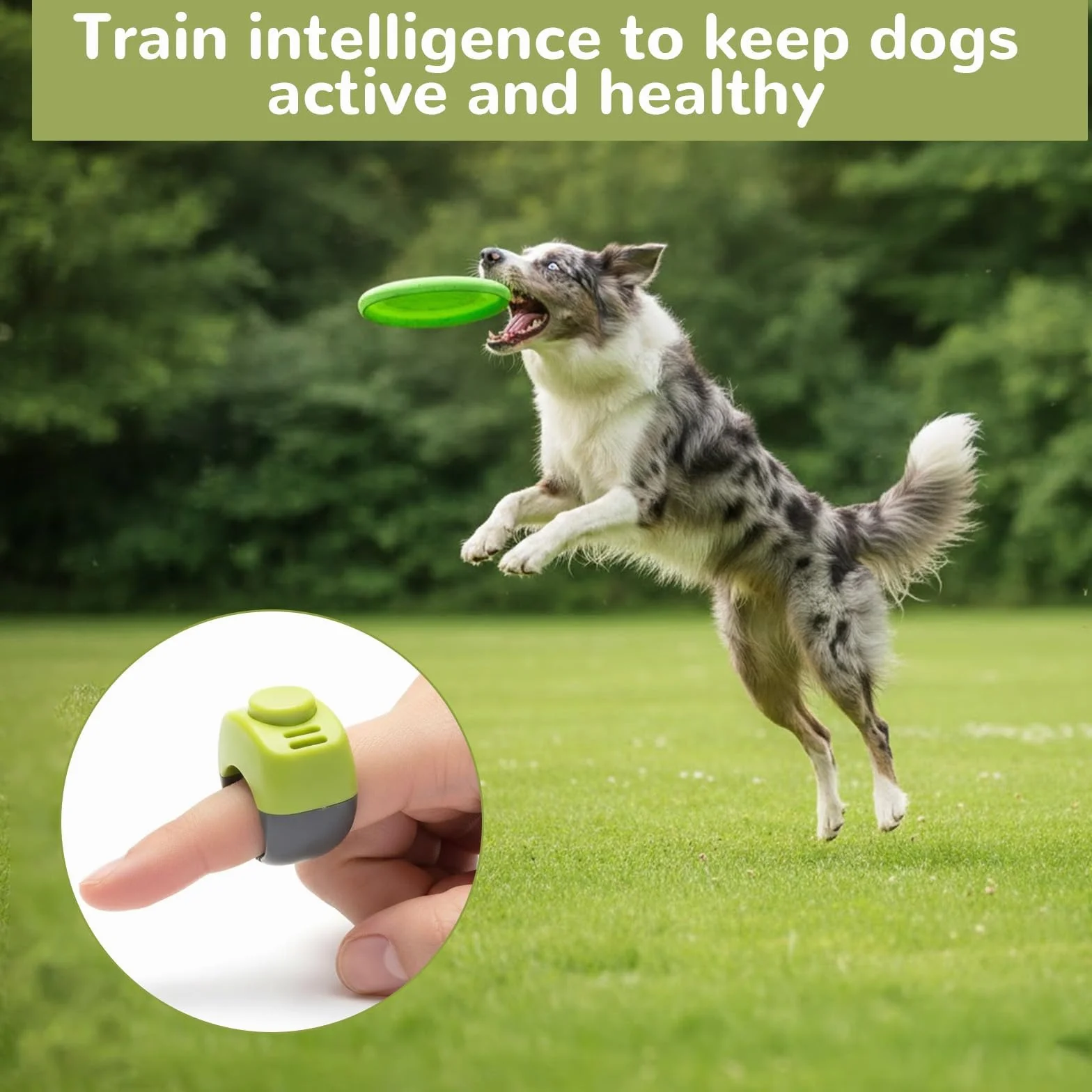 Confezione 4 Clicker per Dita per Cani (19mm/21mm), Pratico Clicker per Addestramento Cane Clicker Cat Clicker Dog per Addestramento di Cani, Gatti E Cavalli, Addestramento al Richiamo