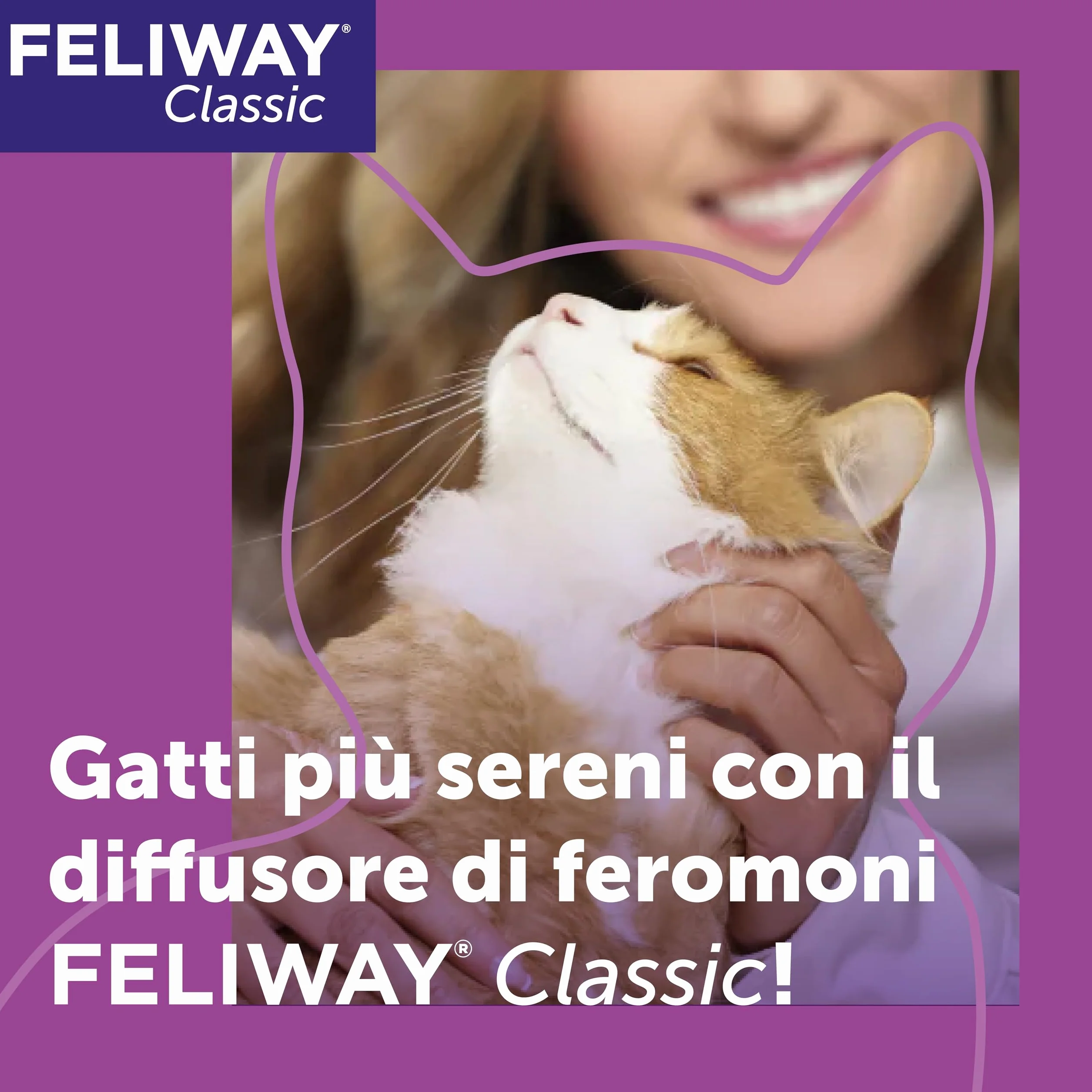 FELIWAY Classic 1x30 Giorni Ricarica Calmante per Gatti per Diffusore di Feromoni, 48 ml – Aiuta a risolvere i segni comuni di stress nei gatti e gattini, Raccomandato dai Veterinari