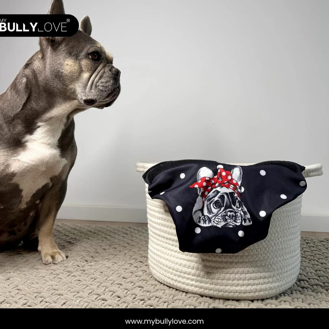 Mutandine igieniche lavabili per bulldog francese femmina in calore
